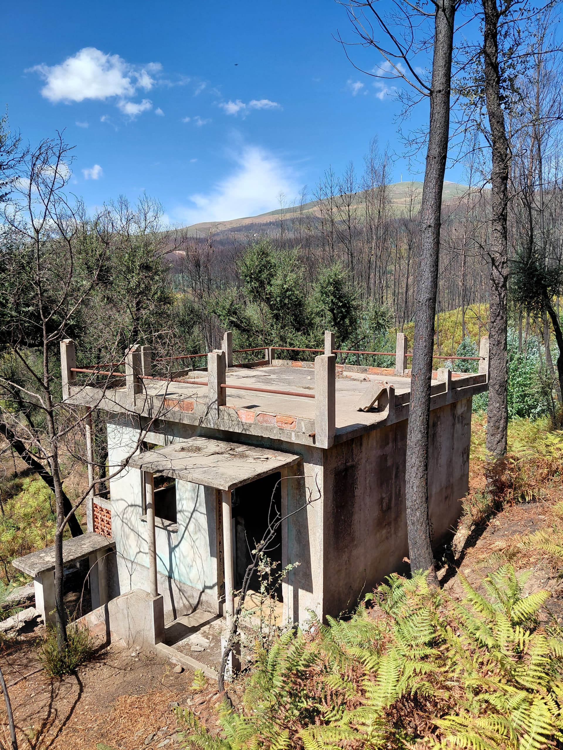 Casa1 - 20250828_151826