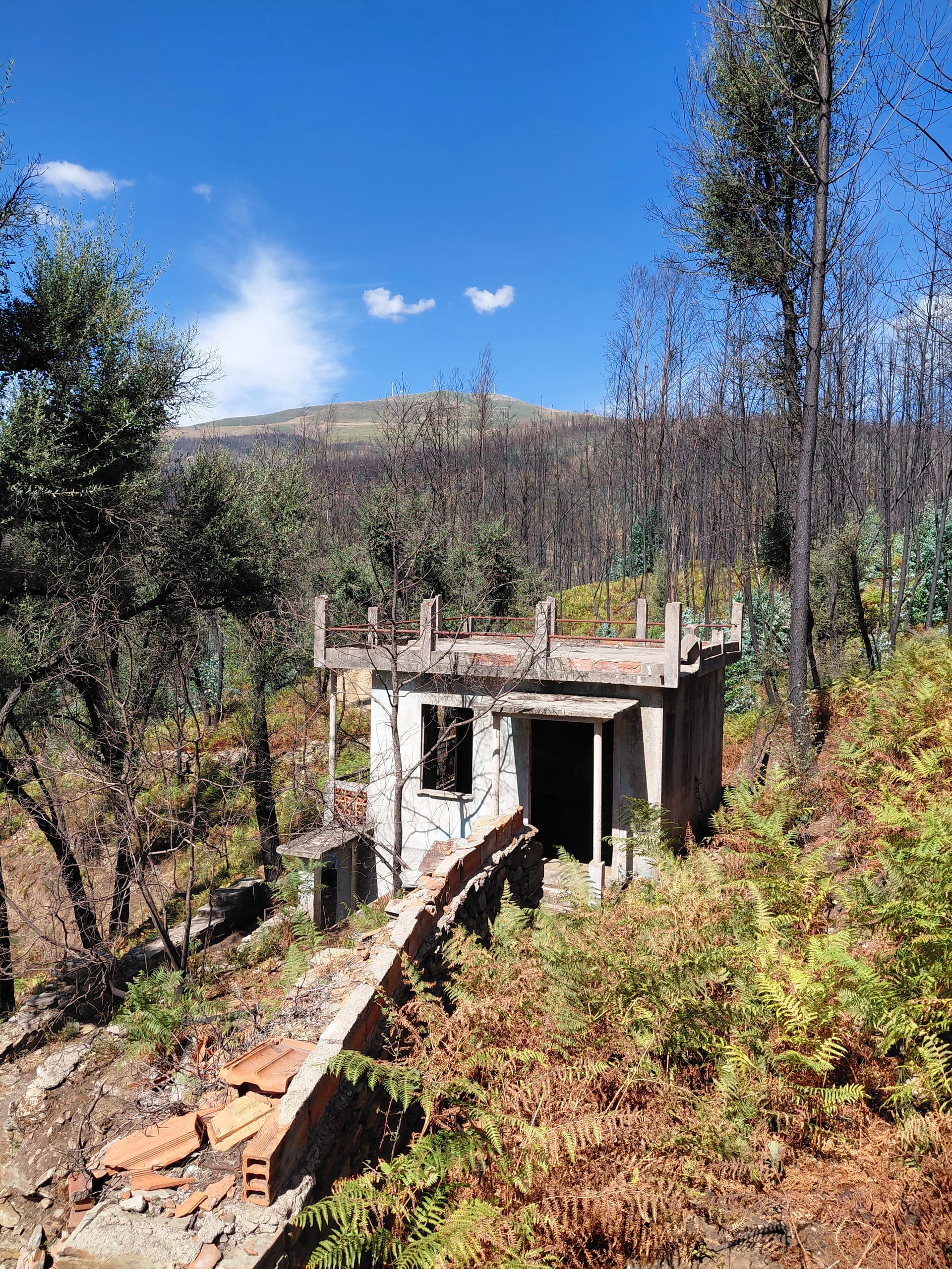 Casa1 - 20250828_152134