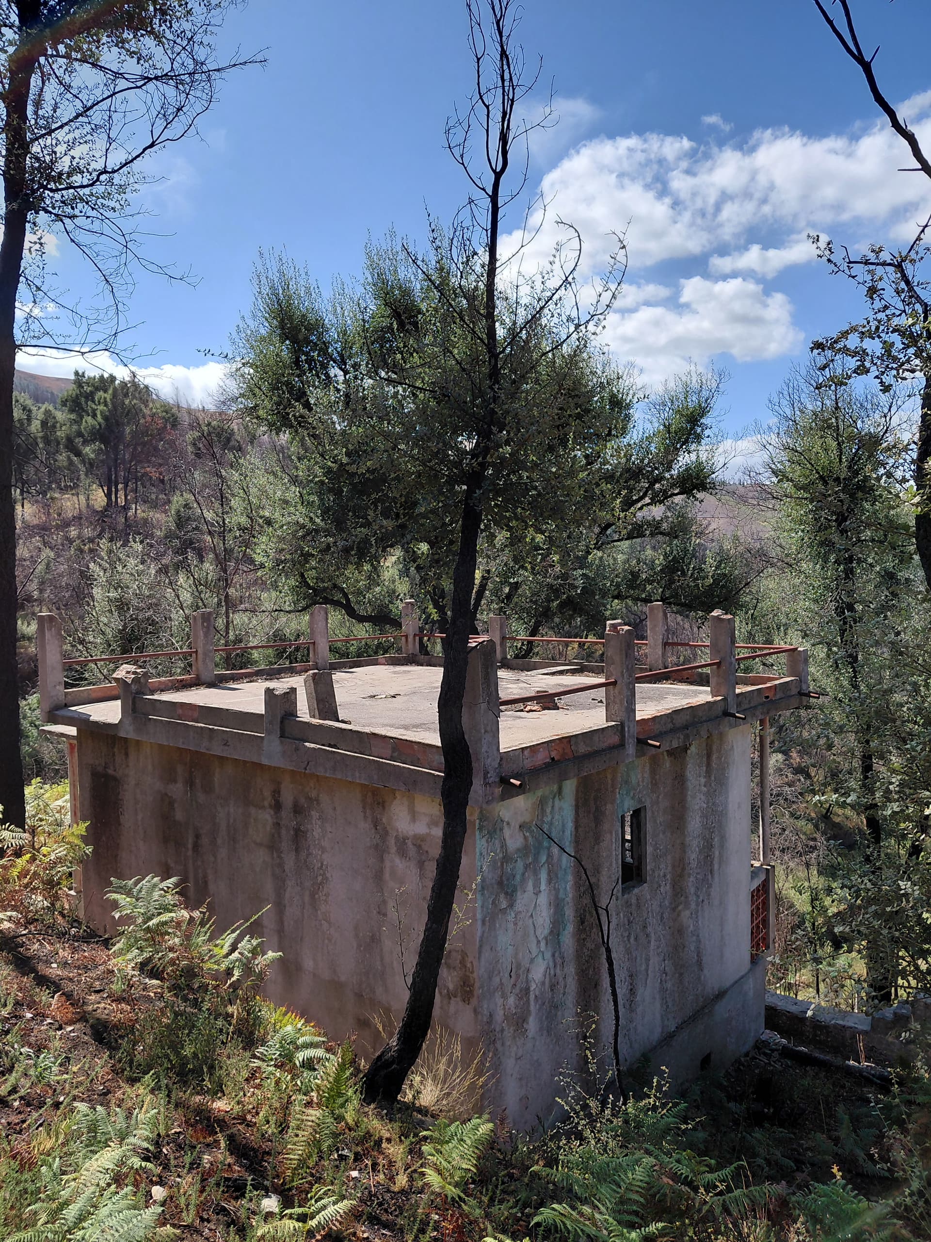 Casa1 - 20250828_152249