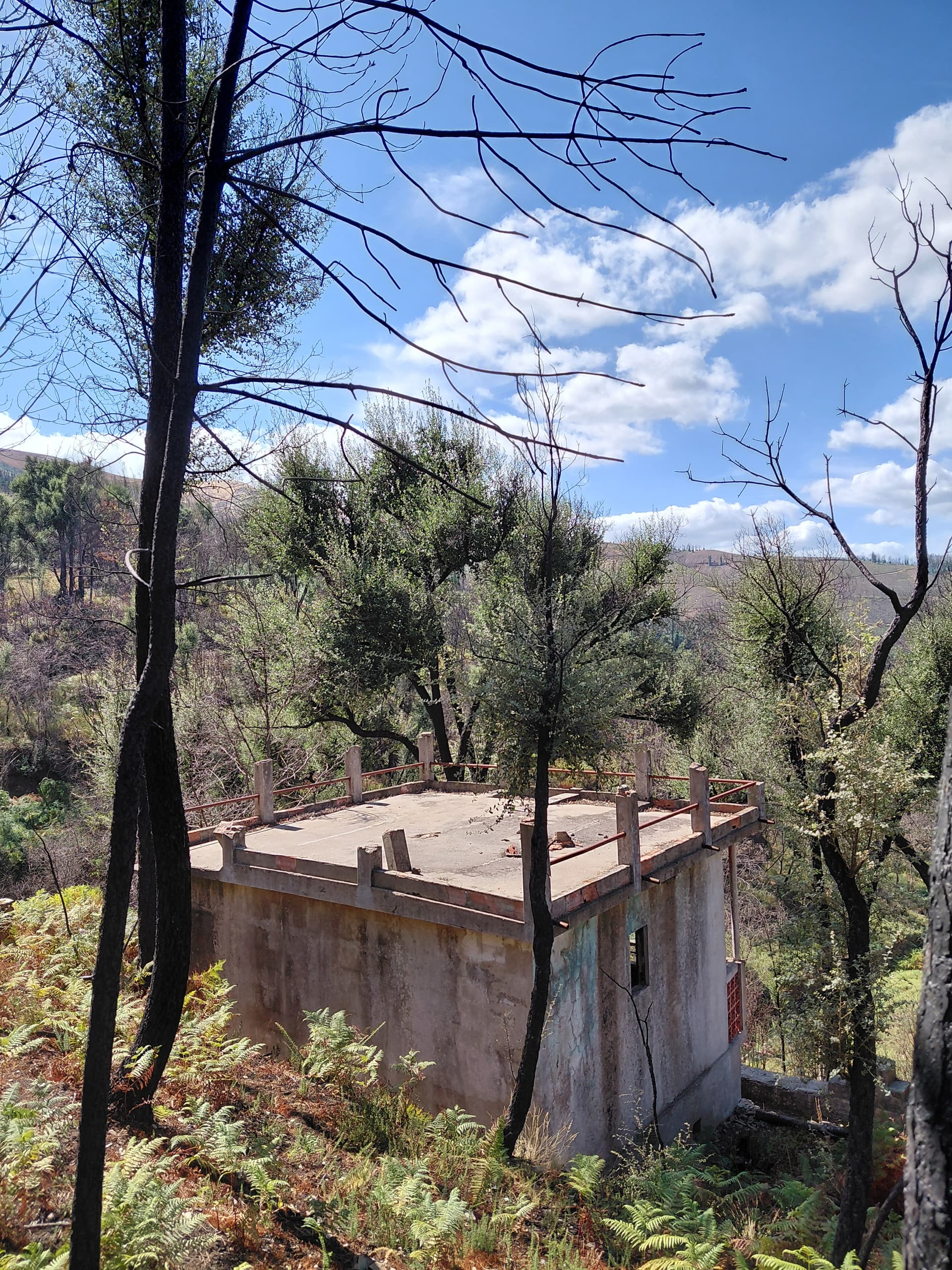 Casa1 - 20250828_152306