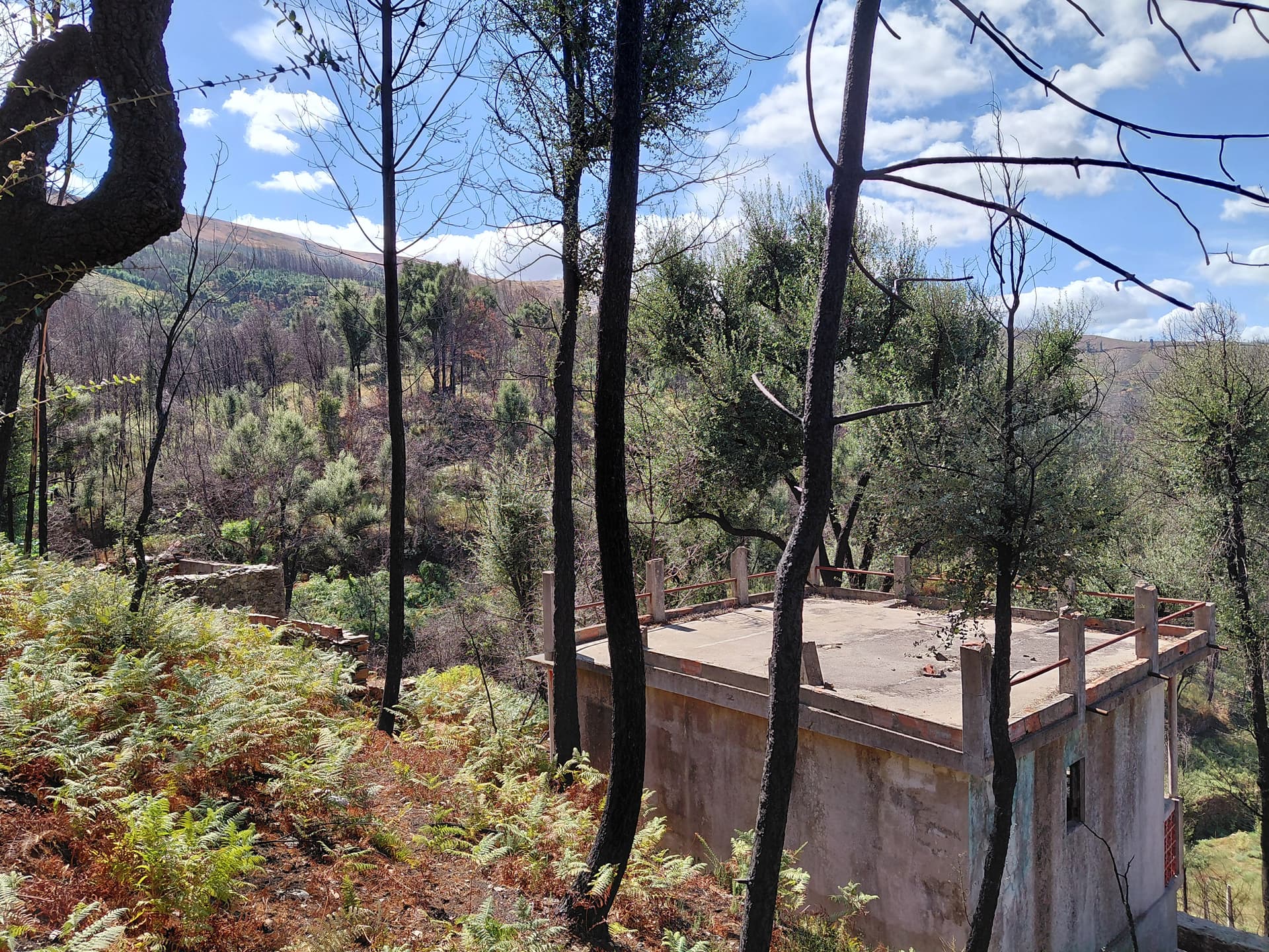 Casa1 - 20250828_152320