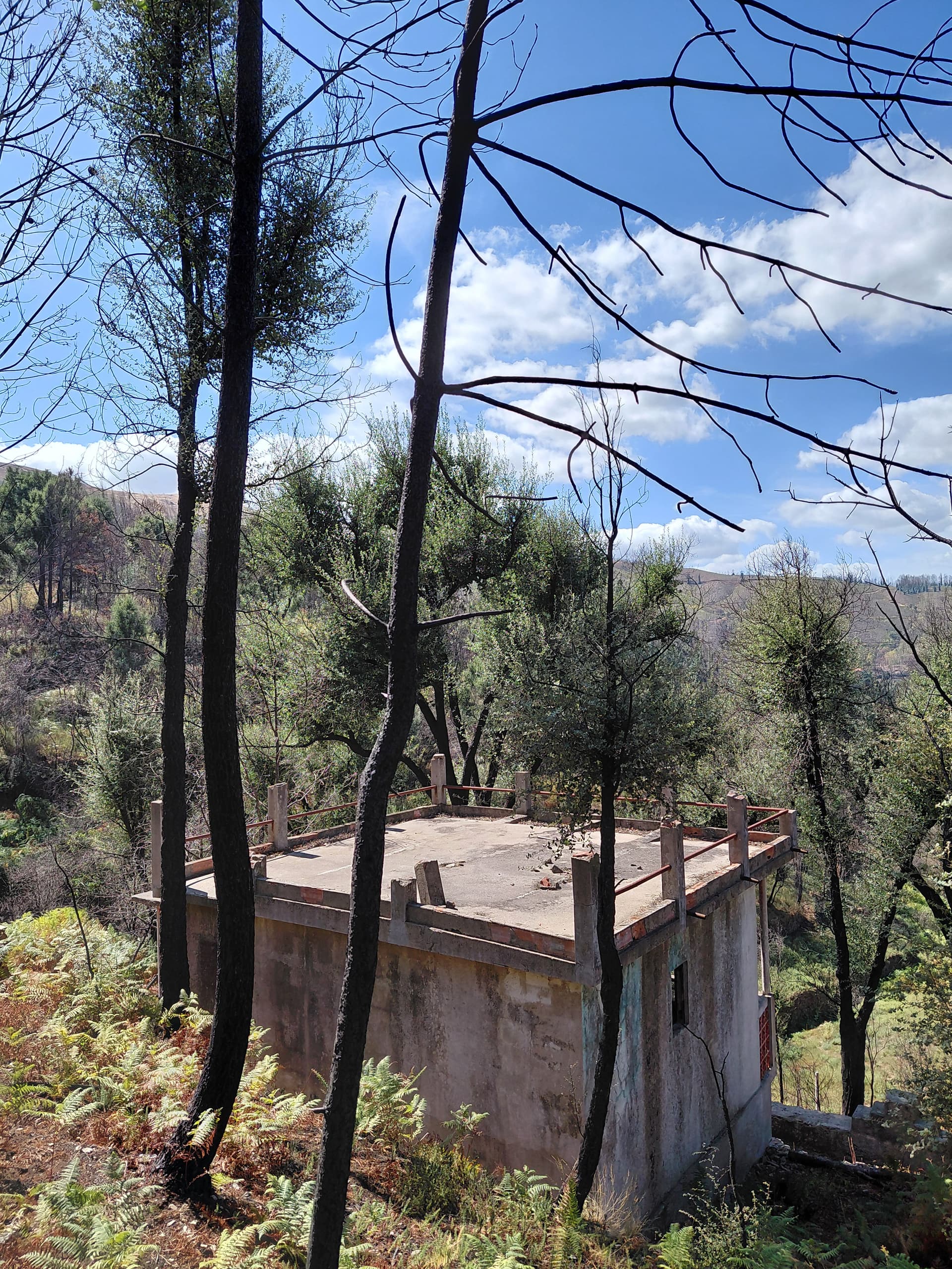 Casa1 - 20250828_152323