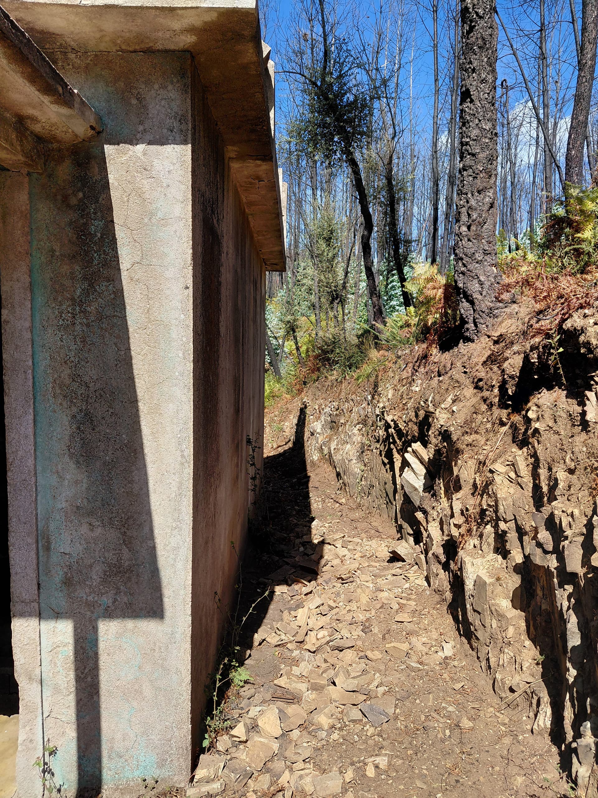 Casa1 - 20250828_152451