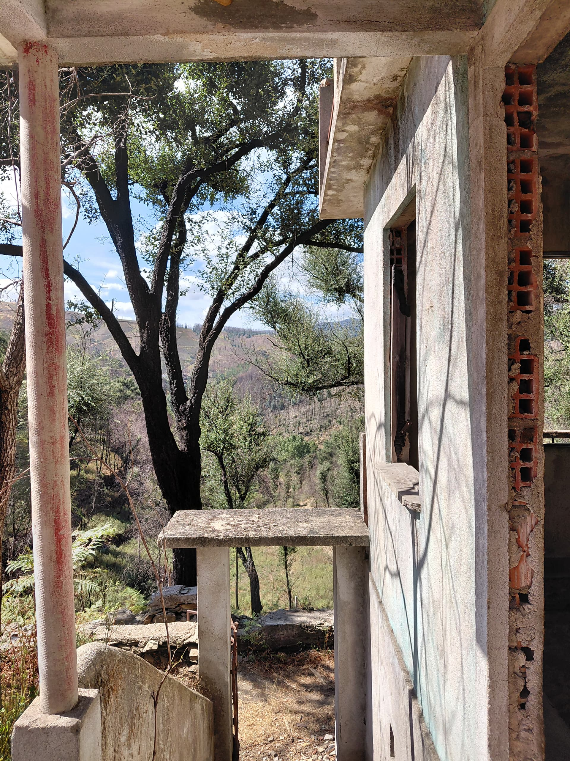 Casa1 - 20250828_152500