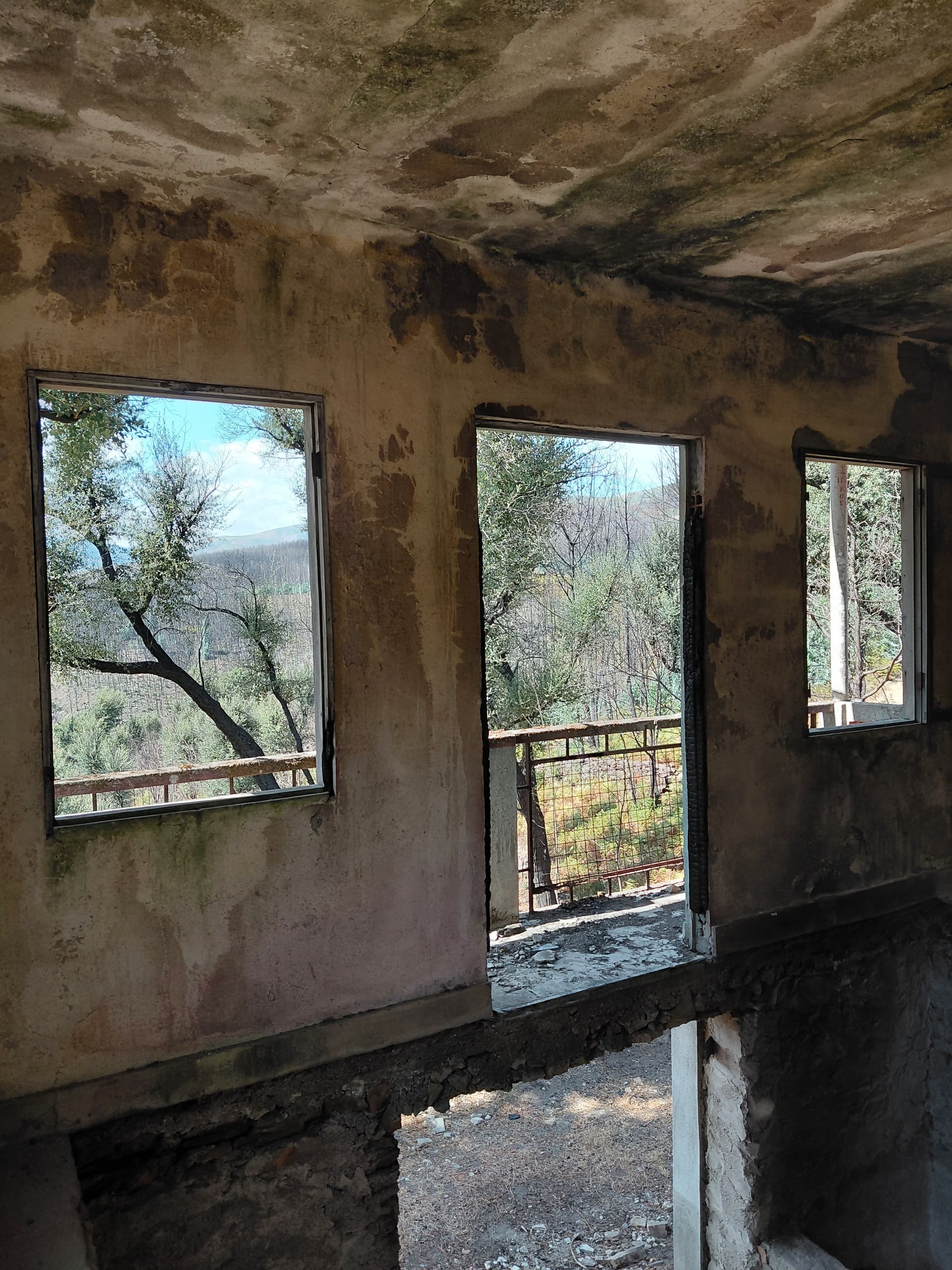 Casa1 - 20250828_152509