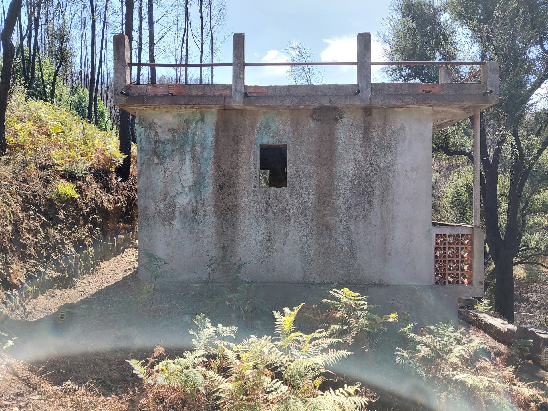 Casa1 - 20250828_152557