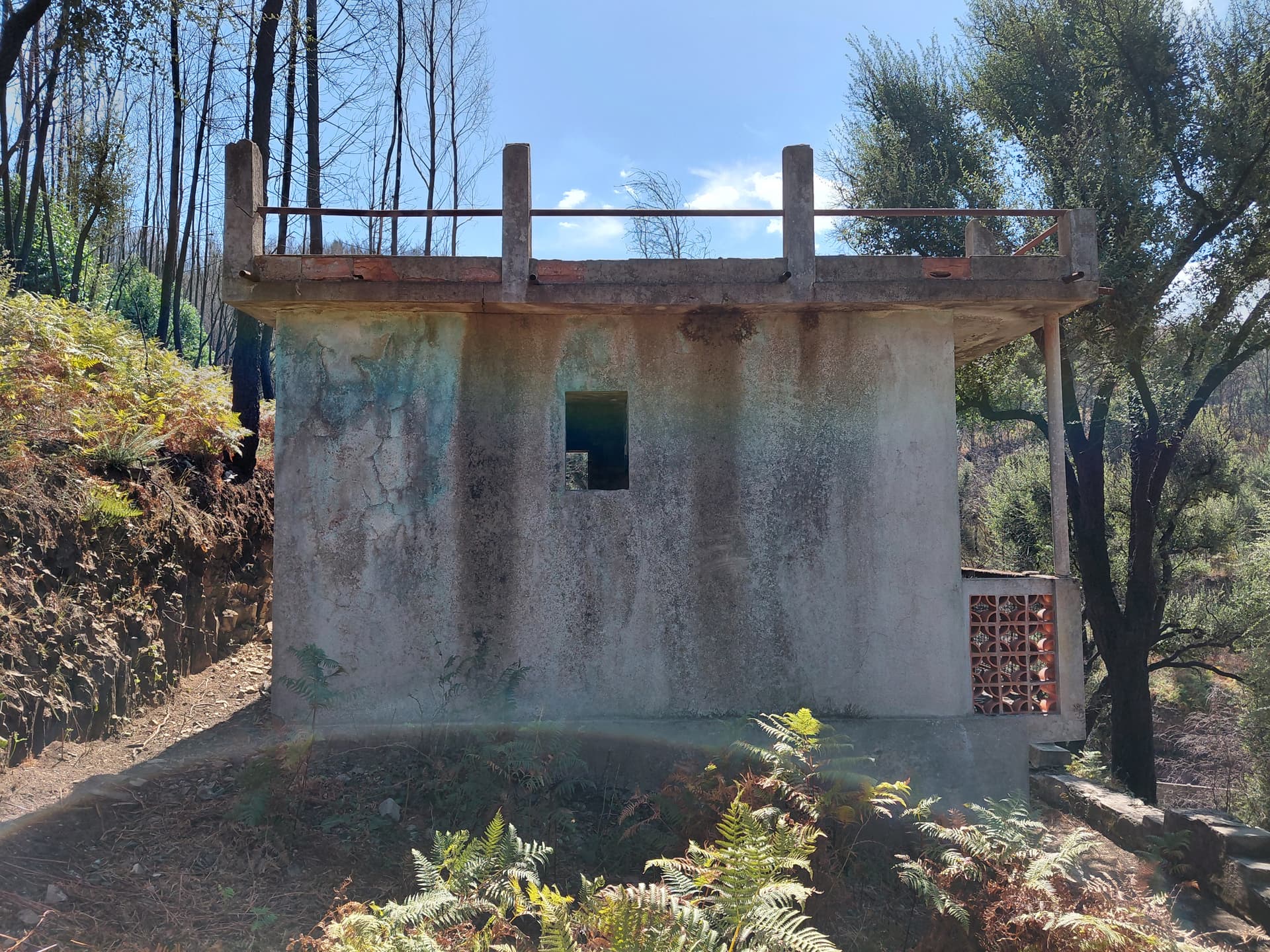 Casa1 - 20250828_152607