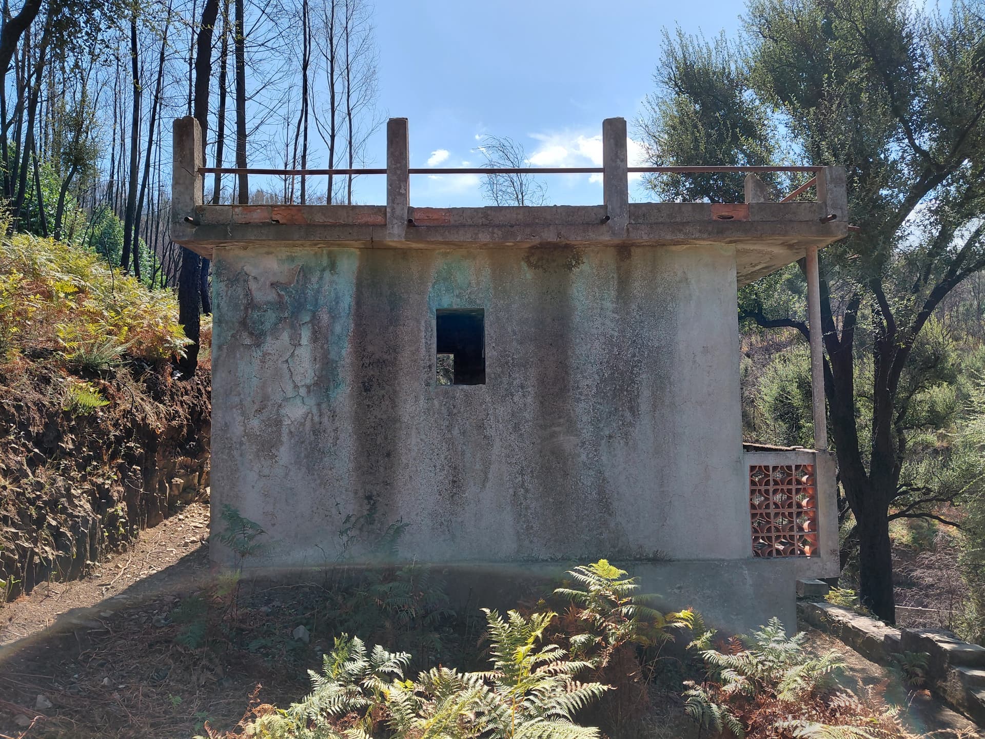 Casa1 - 20250828_152609