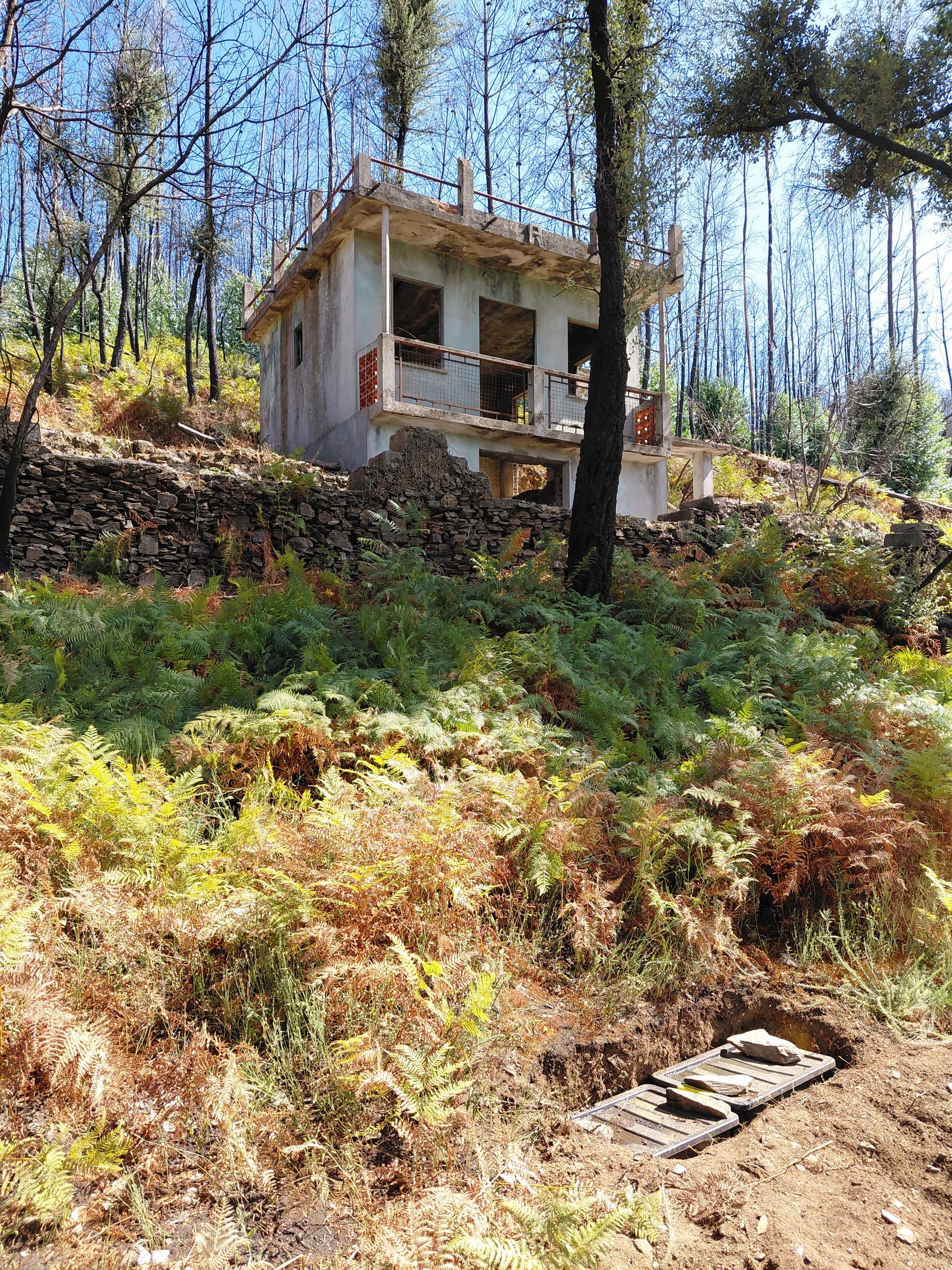 Casa1 - 20250828_152910