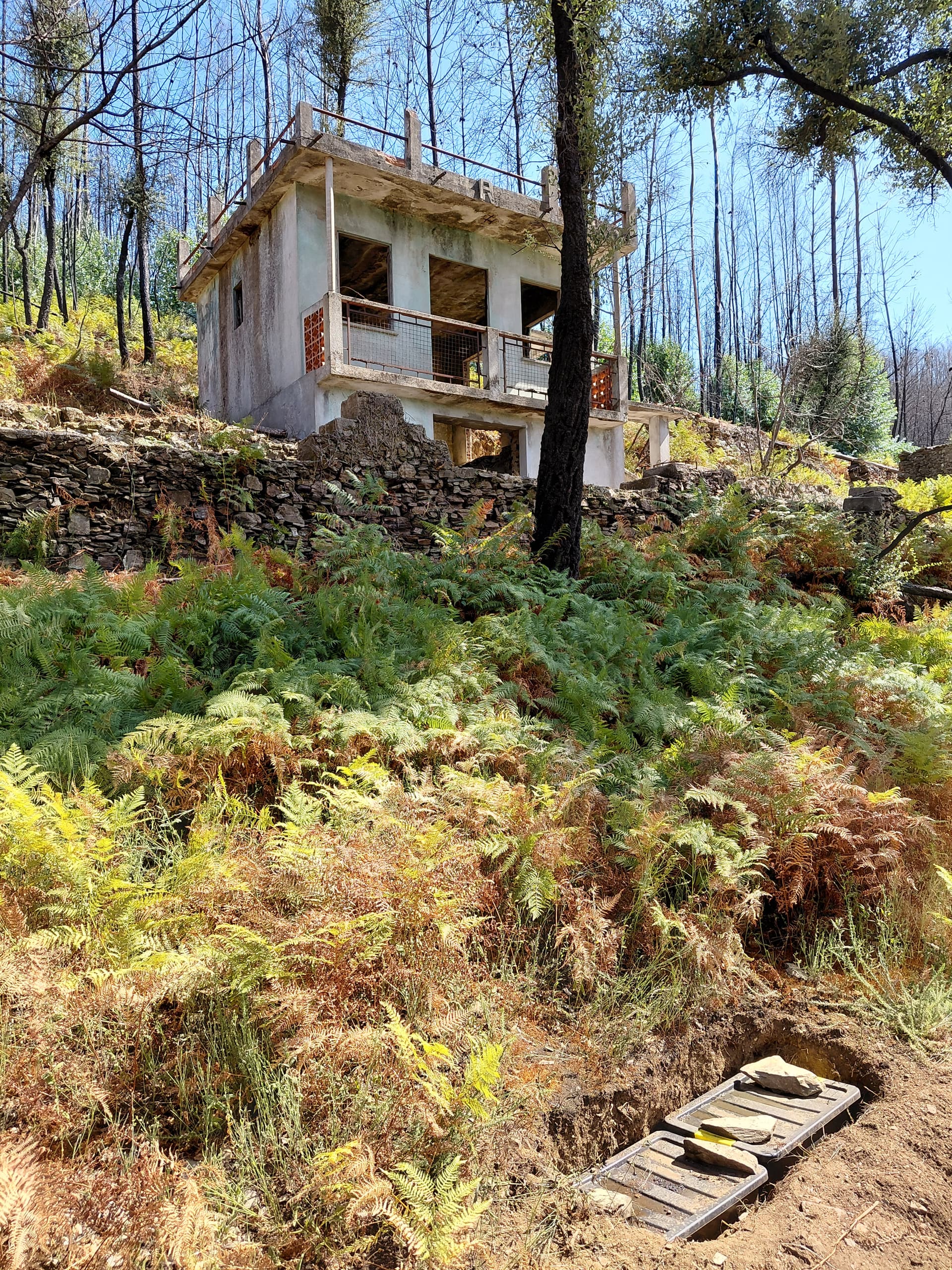 Casa1 - 20250828_152915