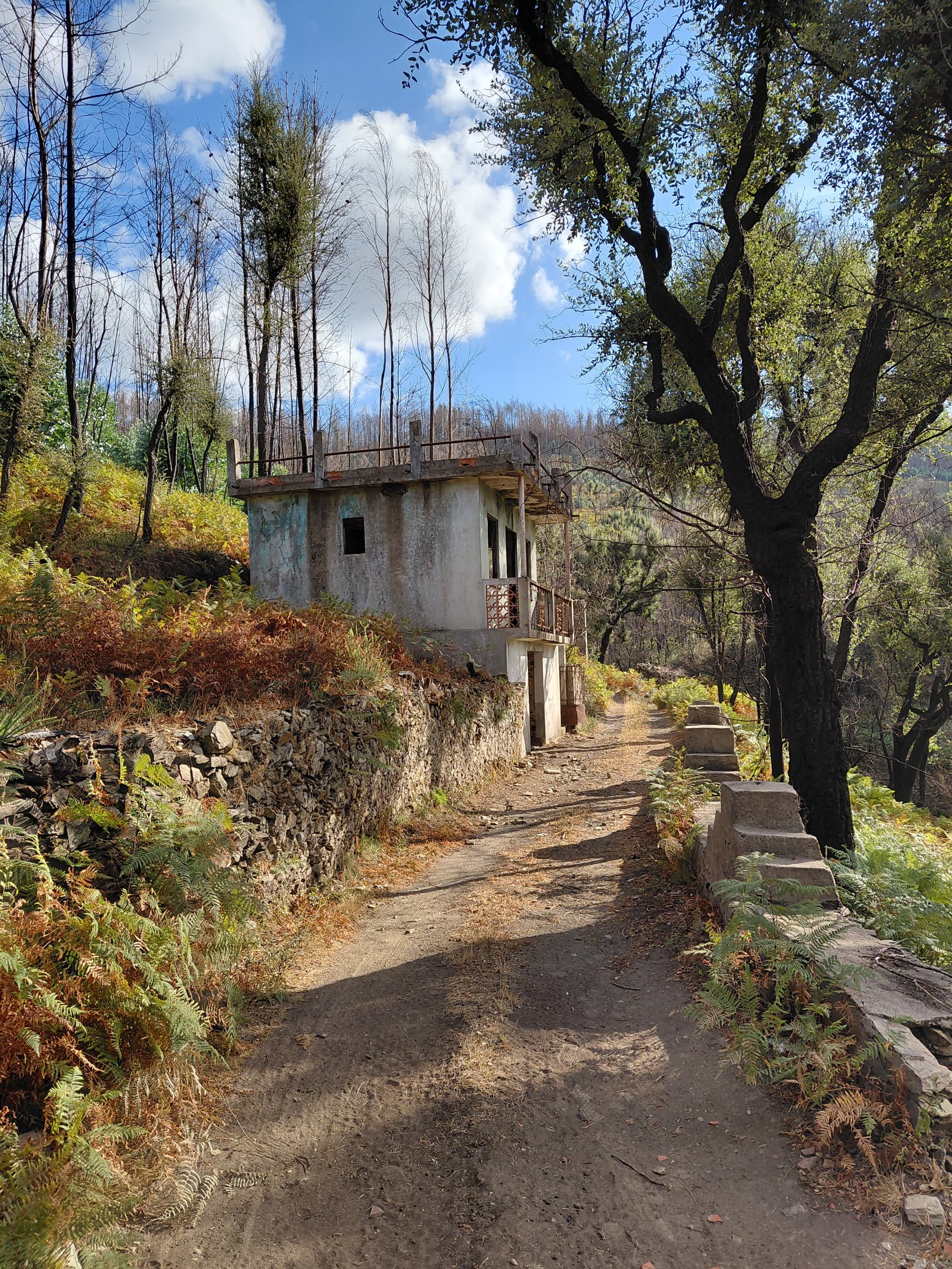 Casa1 - 20250828_174529