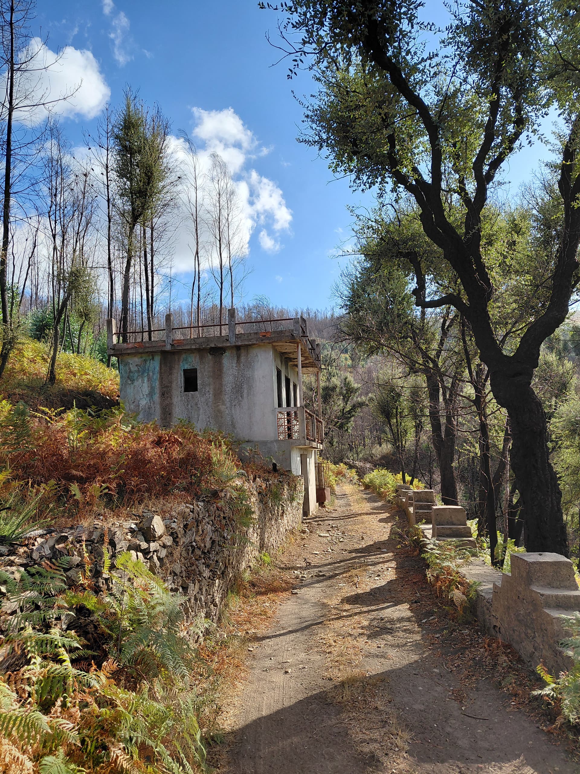 Casa1 - 20250828_174535