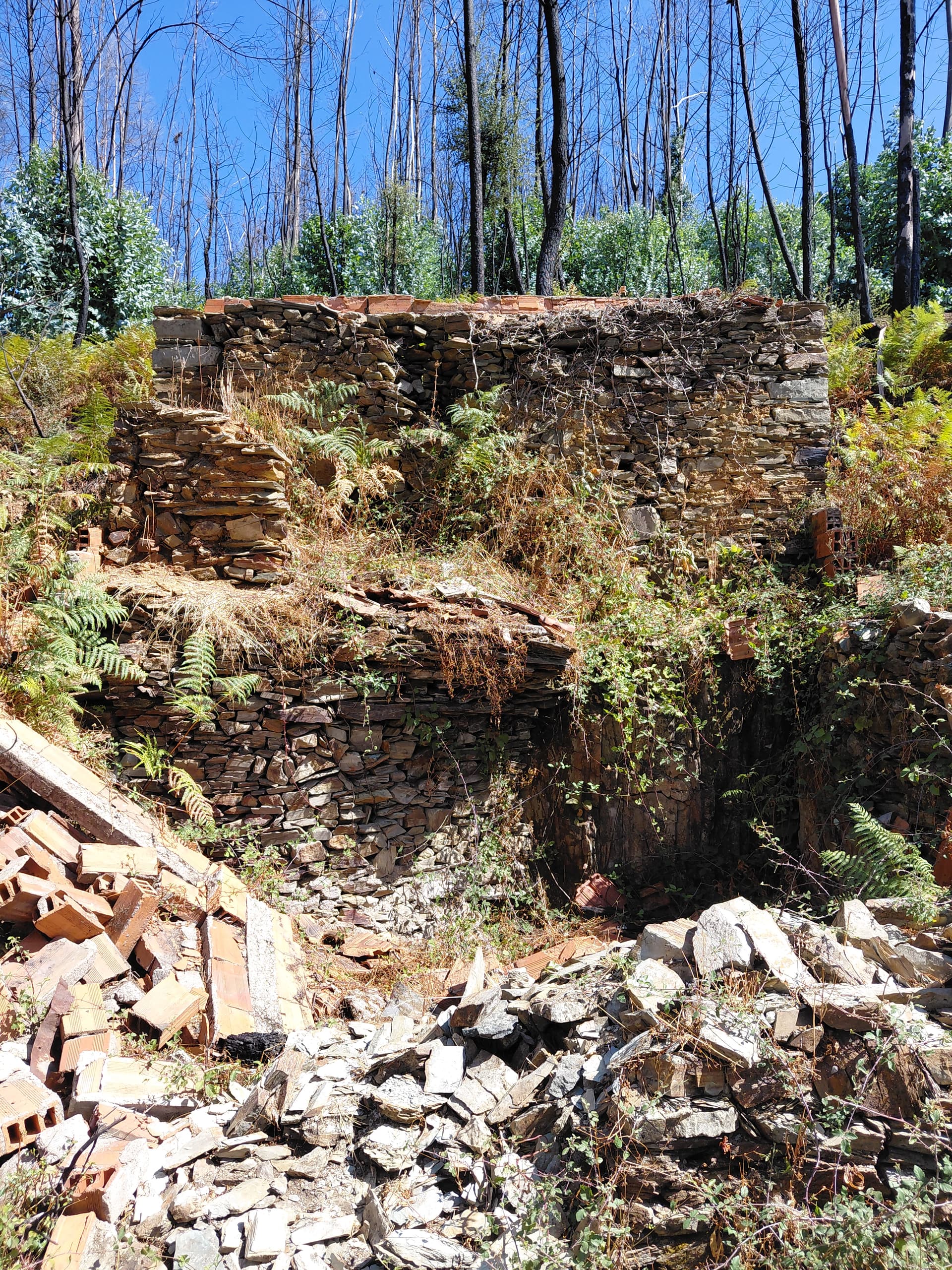 Casa2 - 20250828_151508