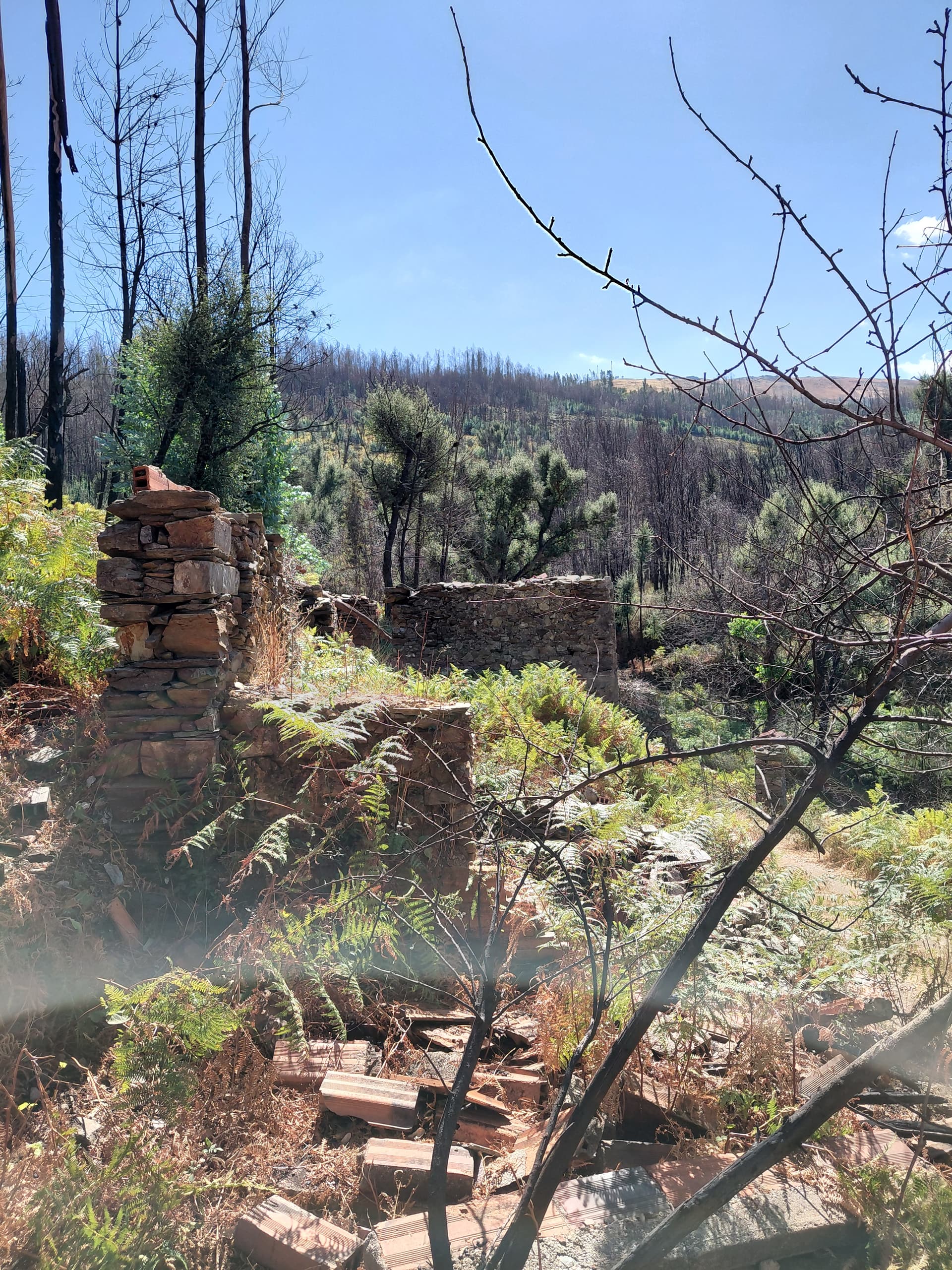 Casa2 - 20250828_151724