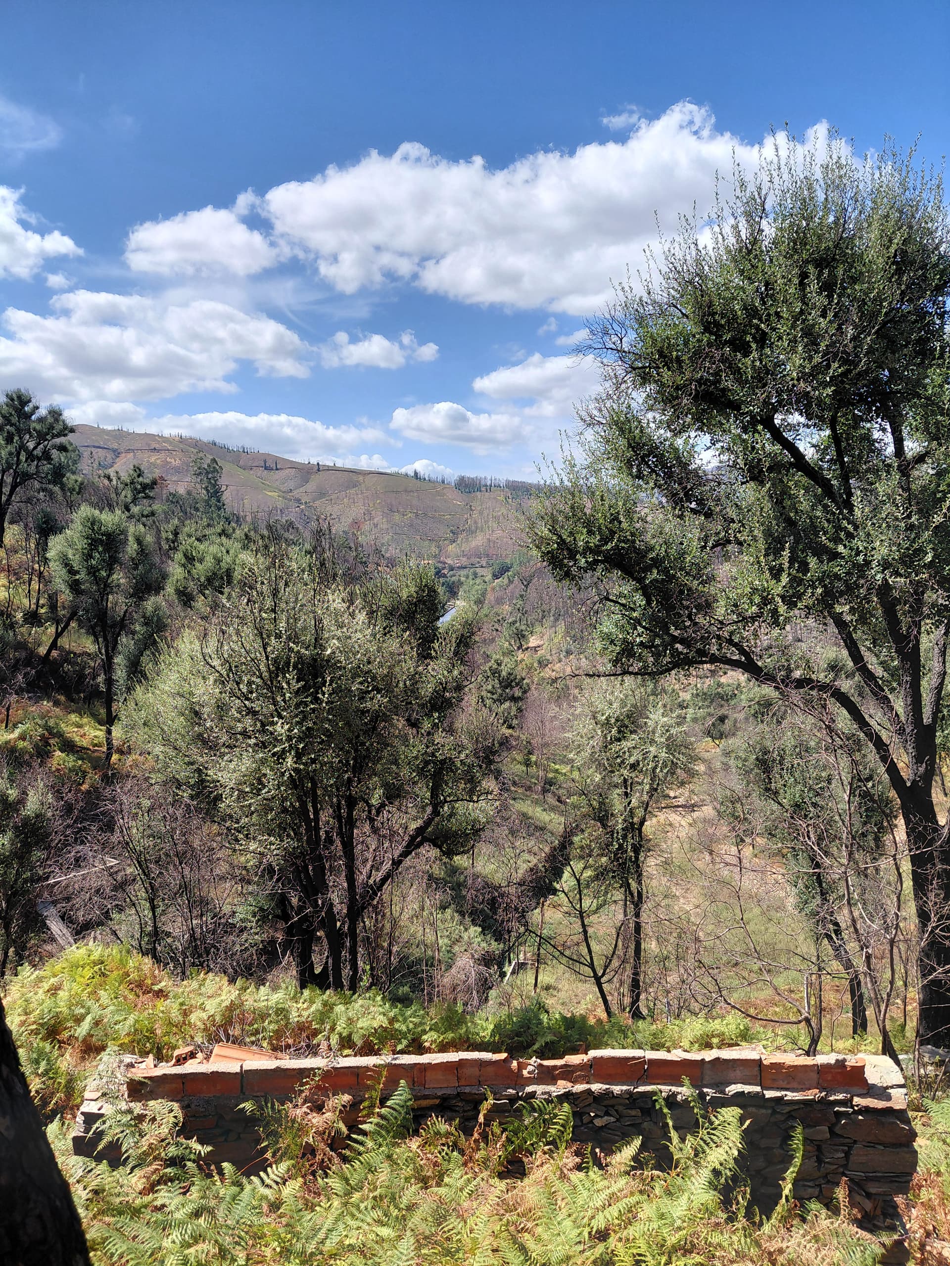 Casa2 - 20250828_151851