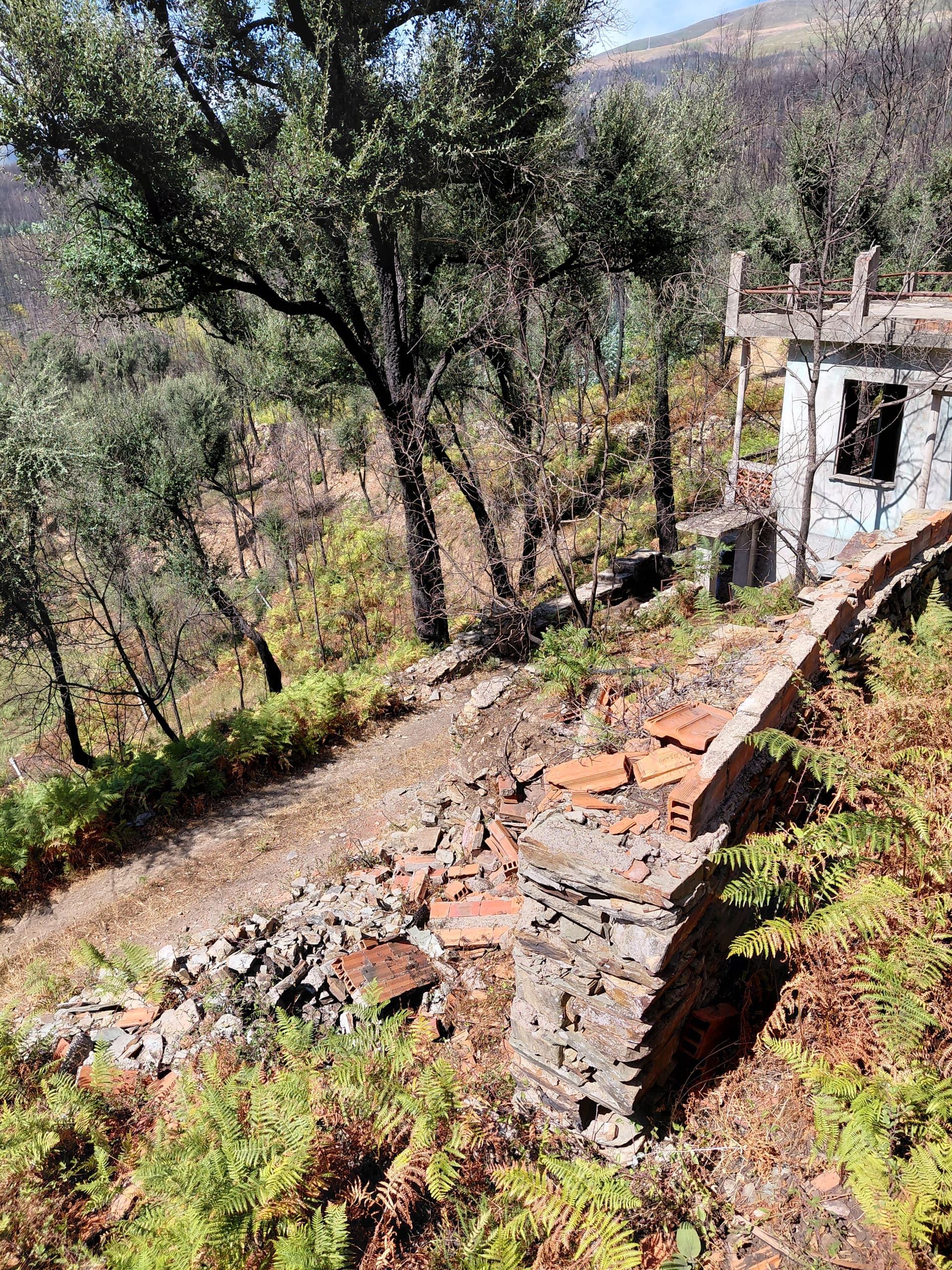 Casa2 - 20250828_152129