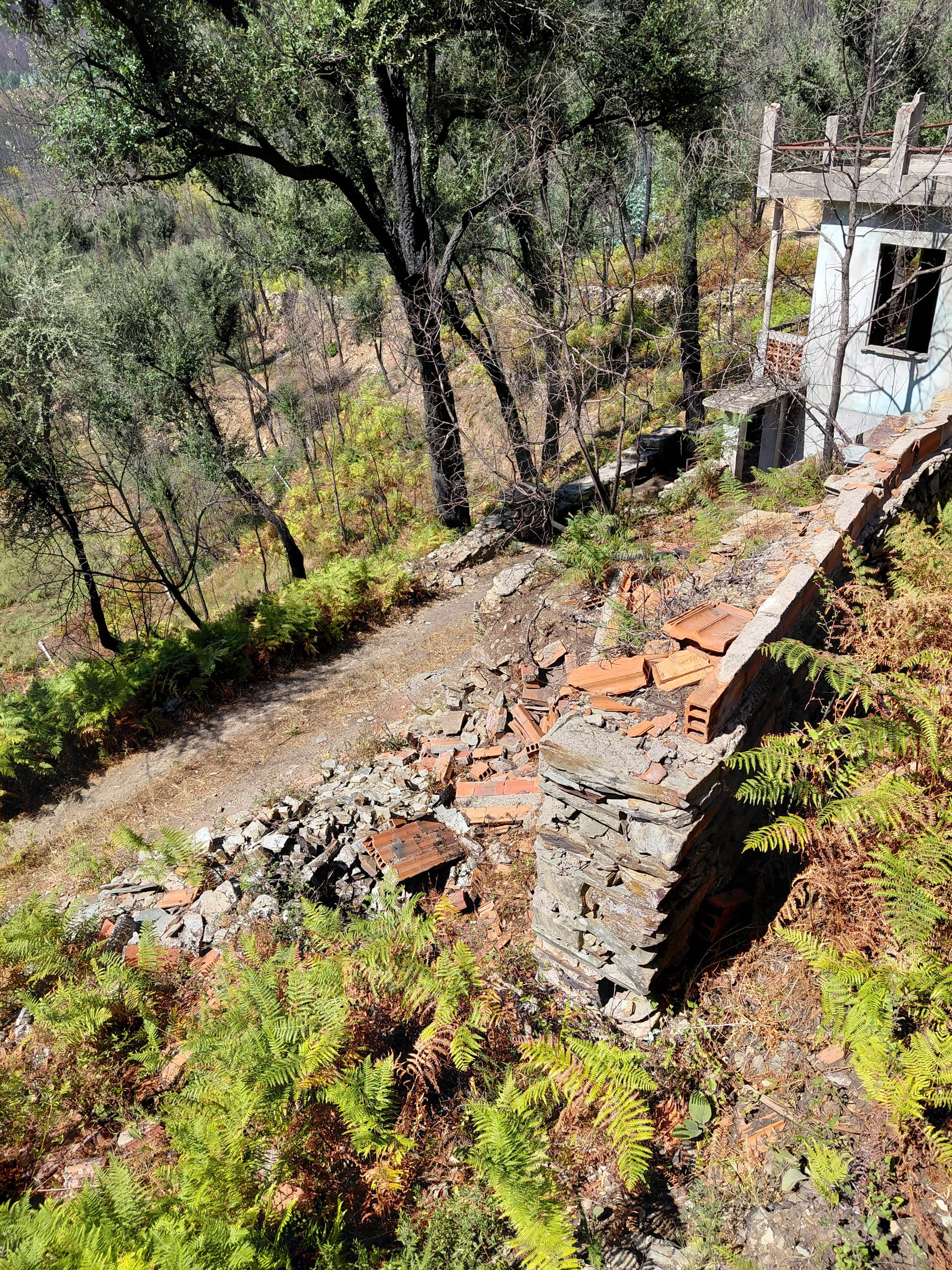 Casa2 - 20250828_152132