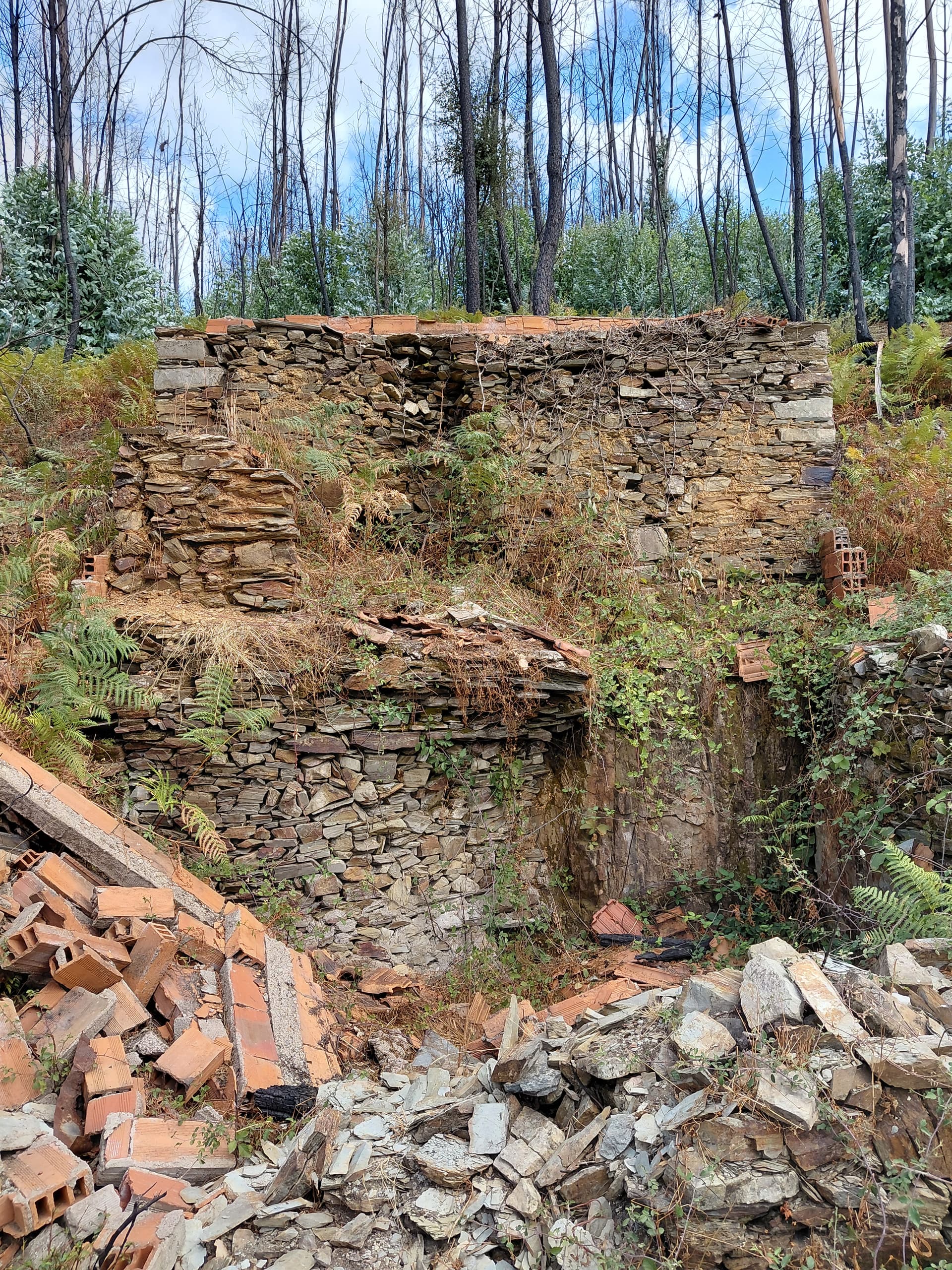 Casa2 - 20250828_164416