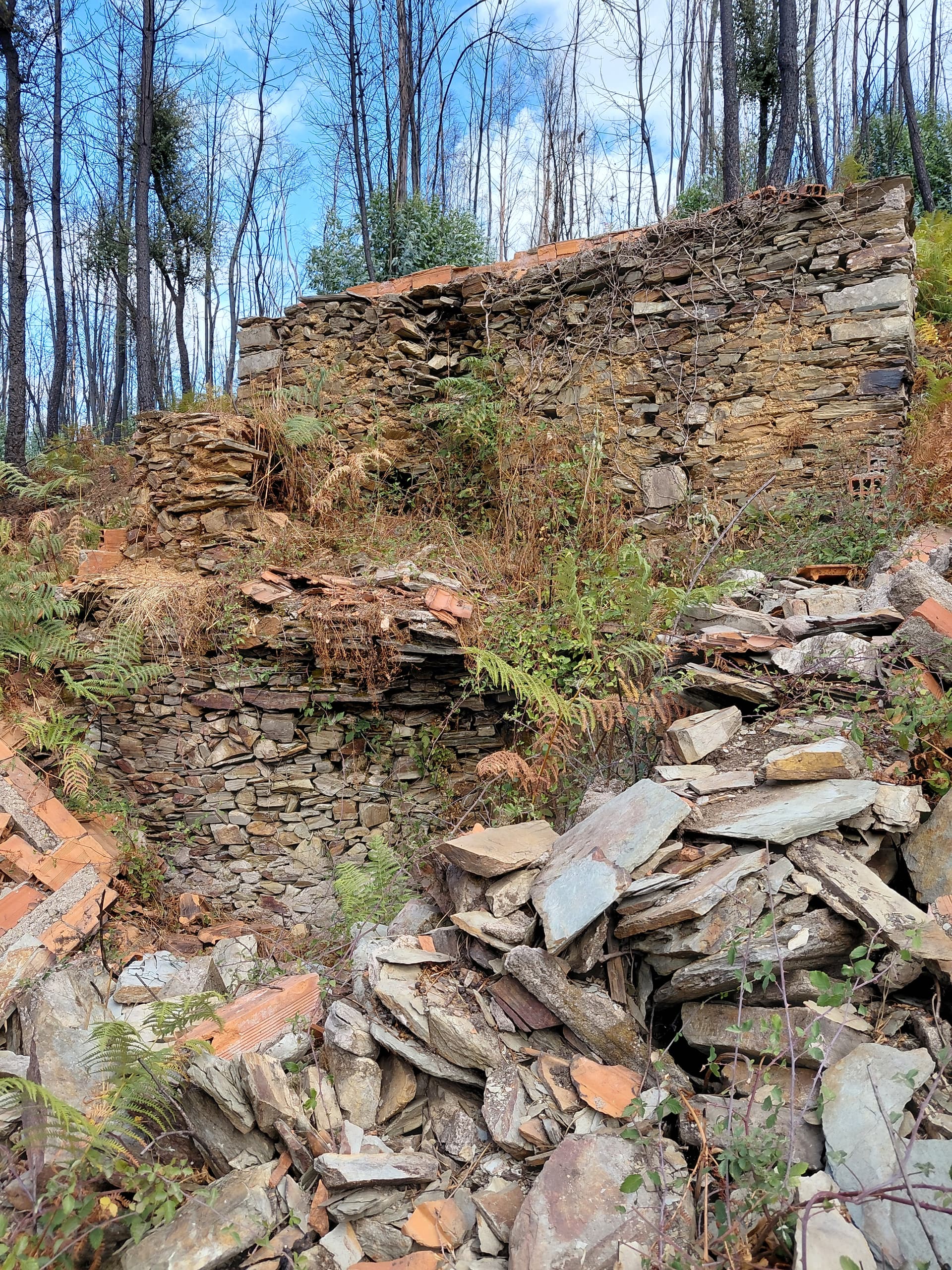 Casa2 - 20250828_164423