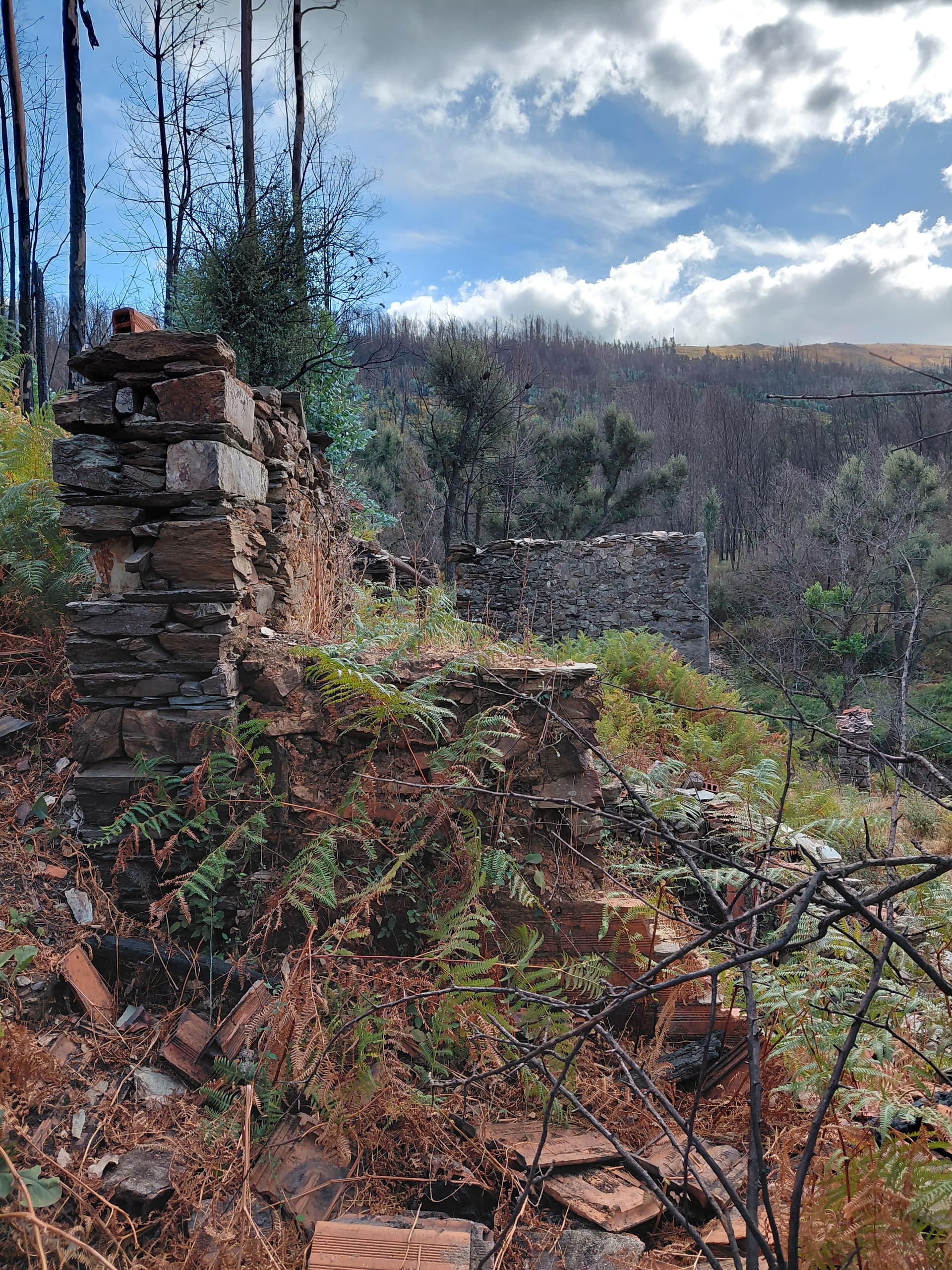 Casa2 - 20250828_164502