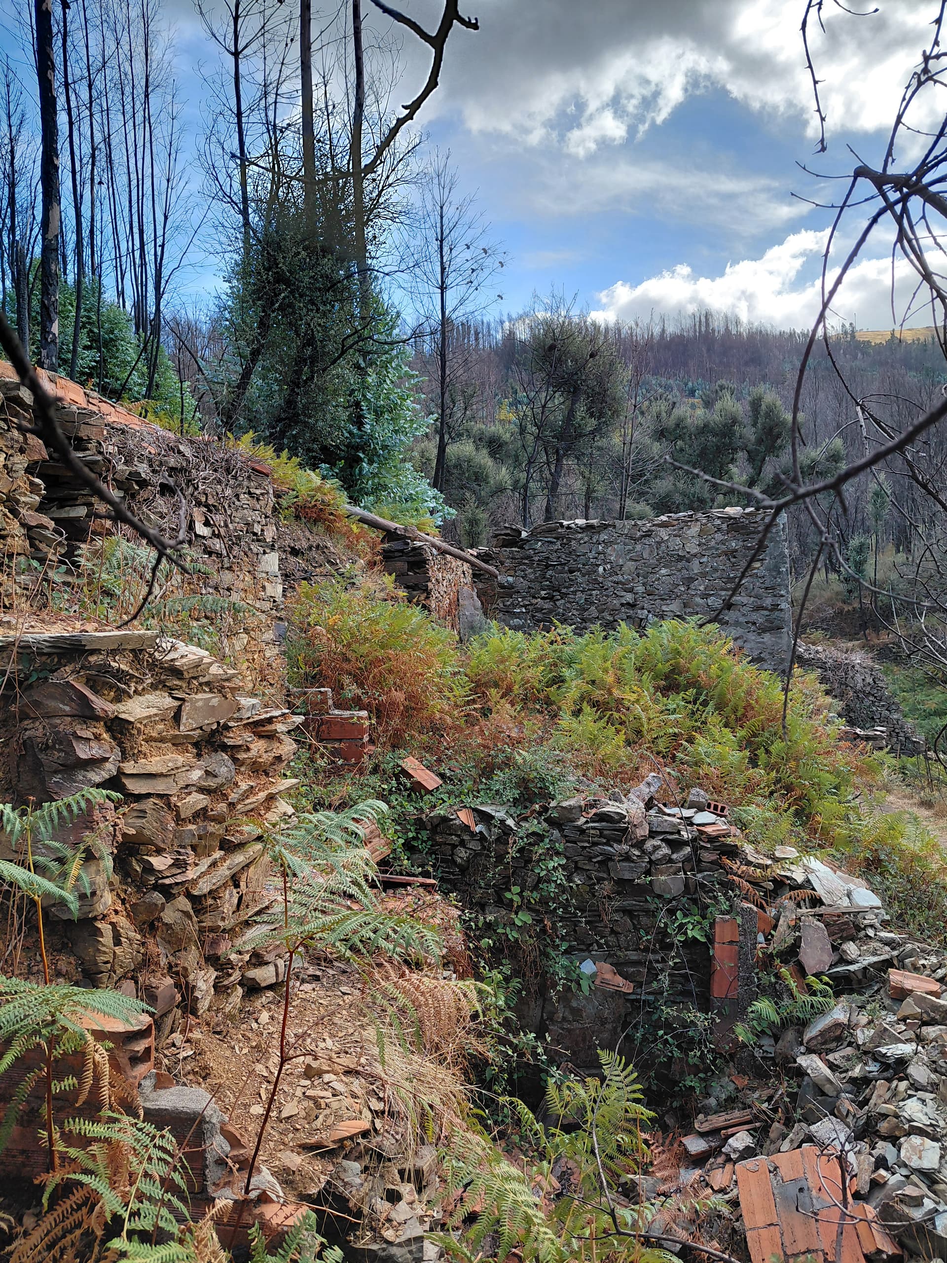 Casa2 - 20250828_164534