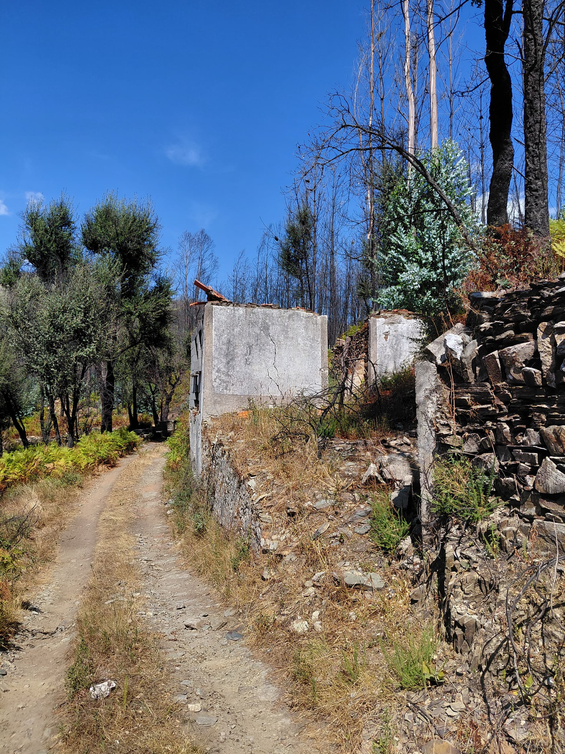 Casa3 - 20250828_150938