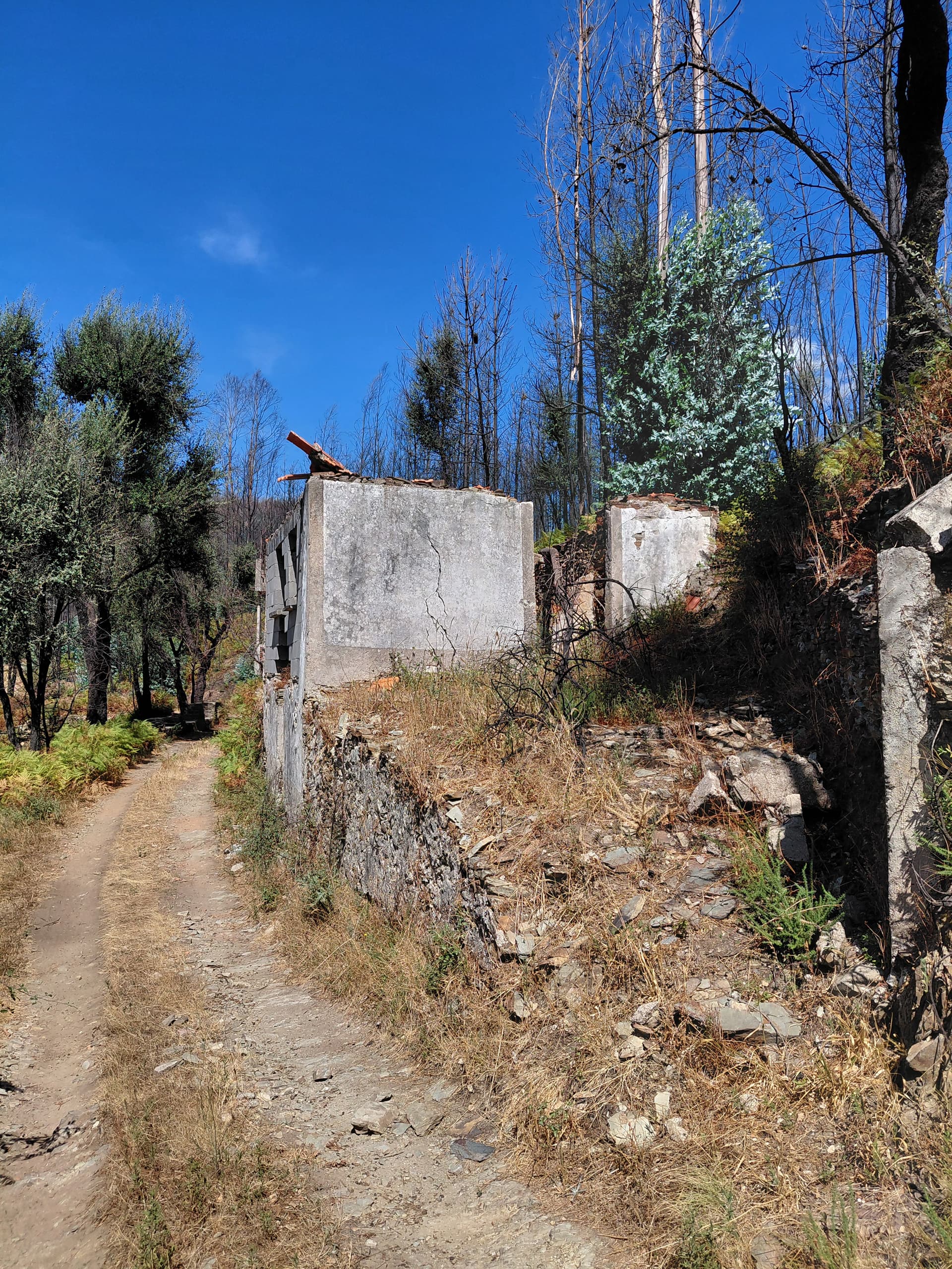 Casa3 - 20250828_150945