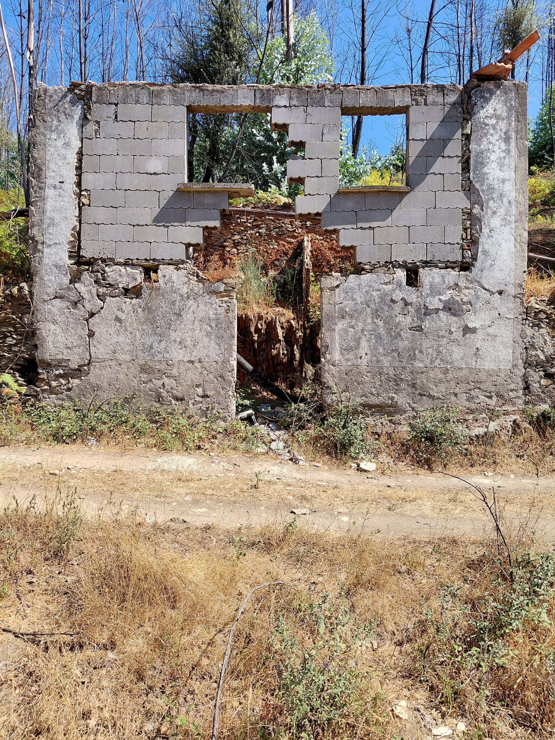 Casa3 - 20250828_151416