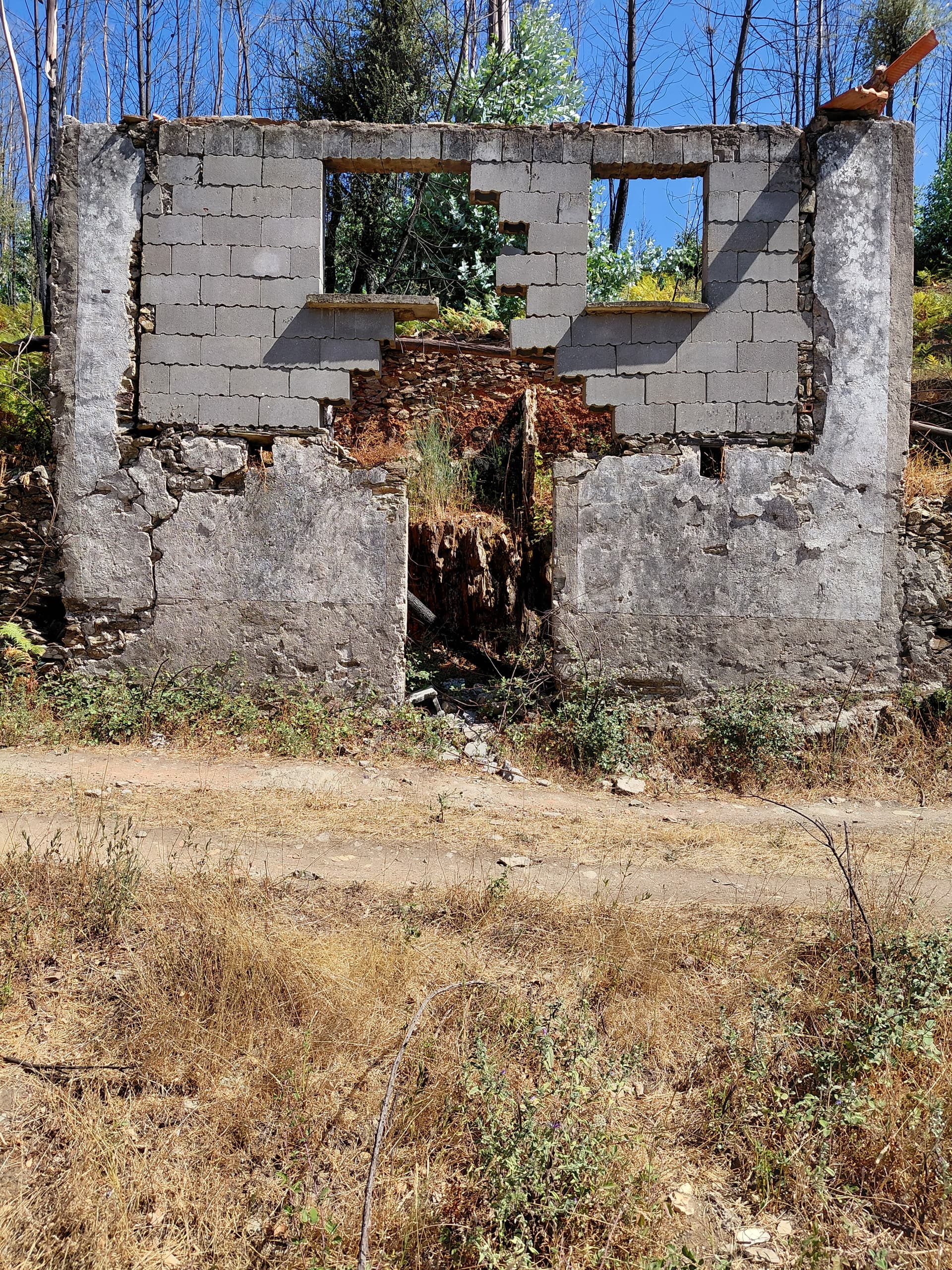 Casa3 - 20250828_151417