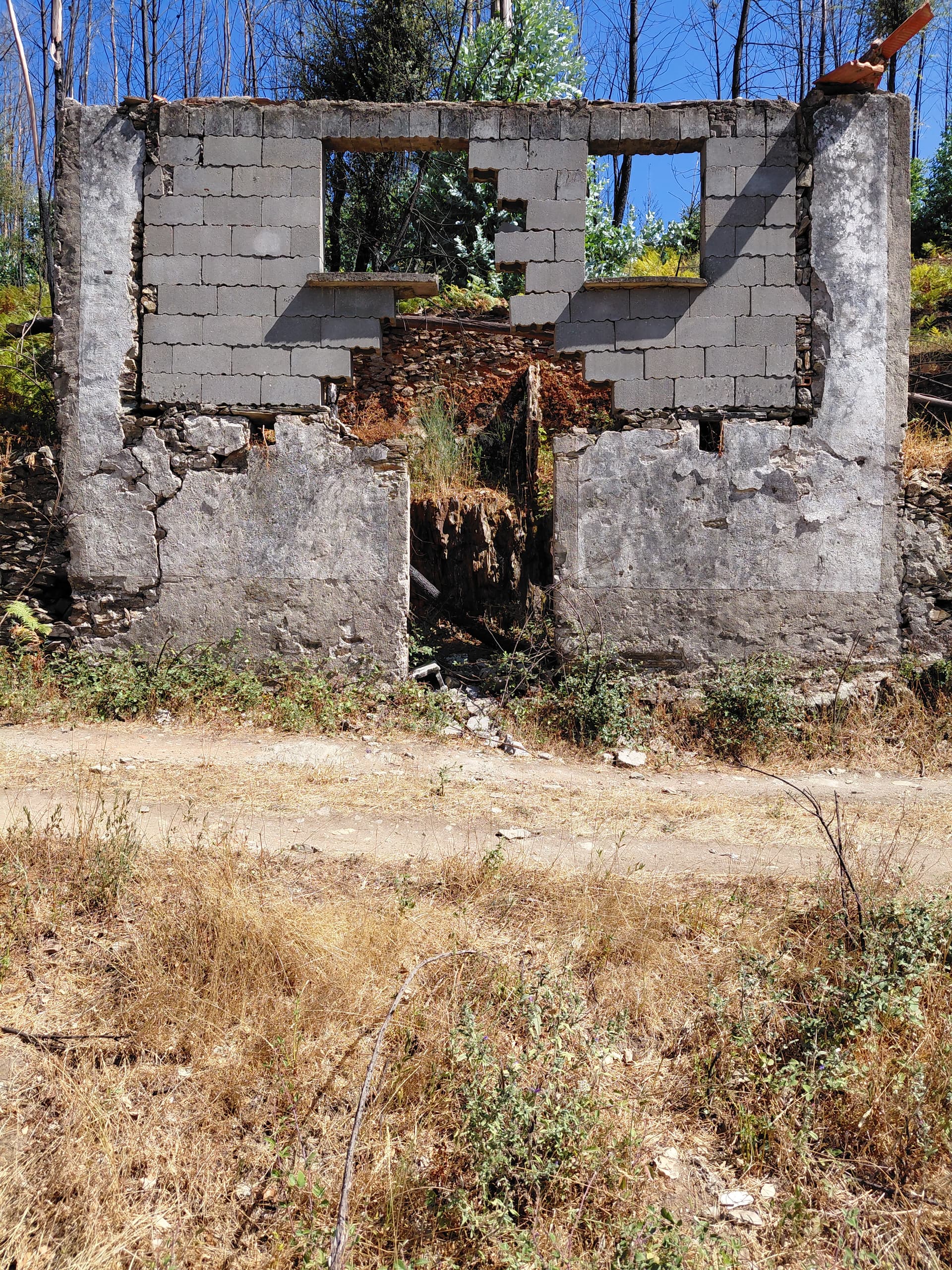 Casa3 - 20250828_151421