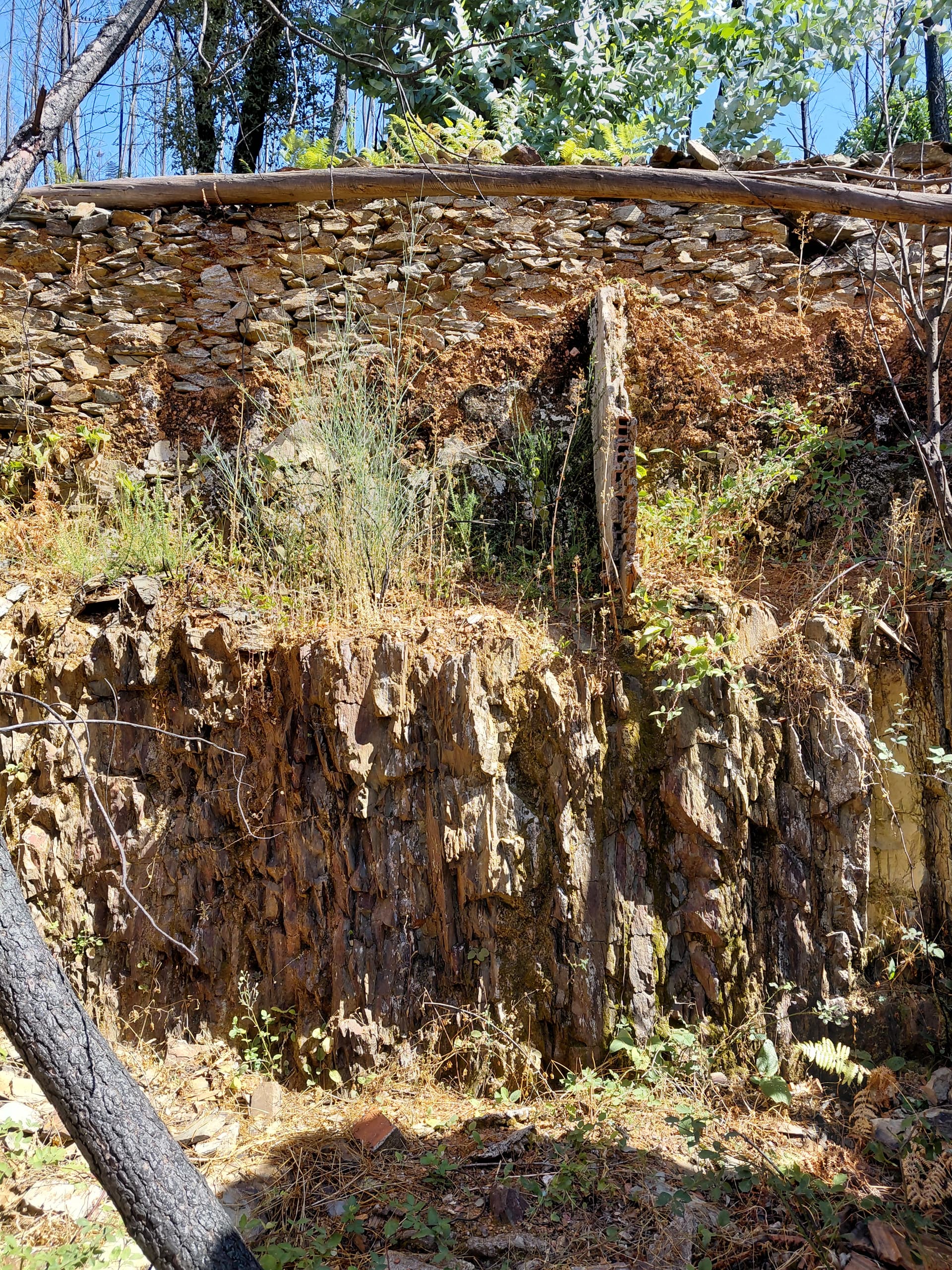 Casa3 - 20250828_151439