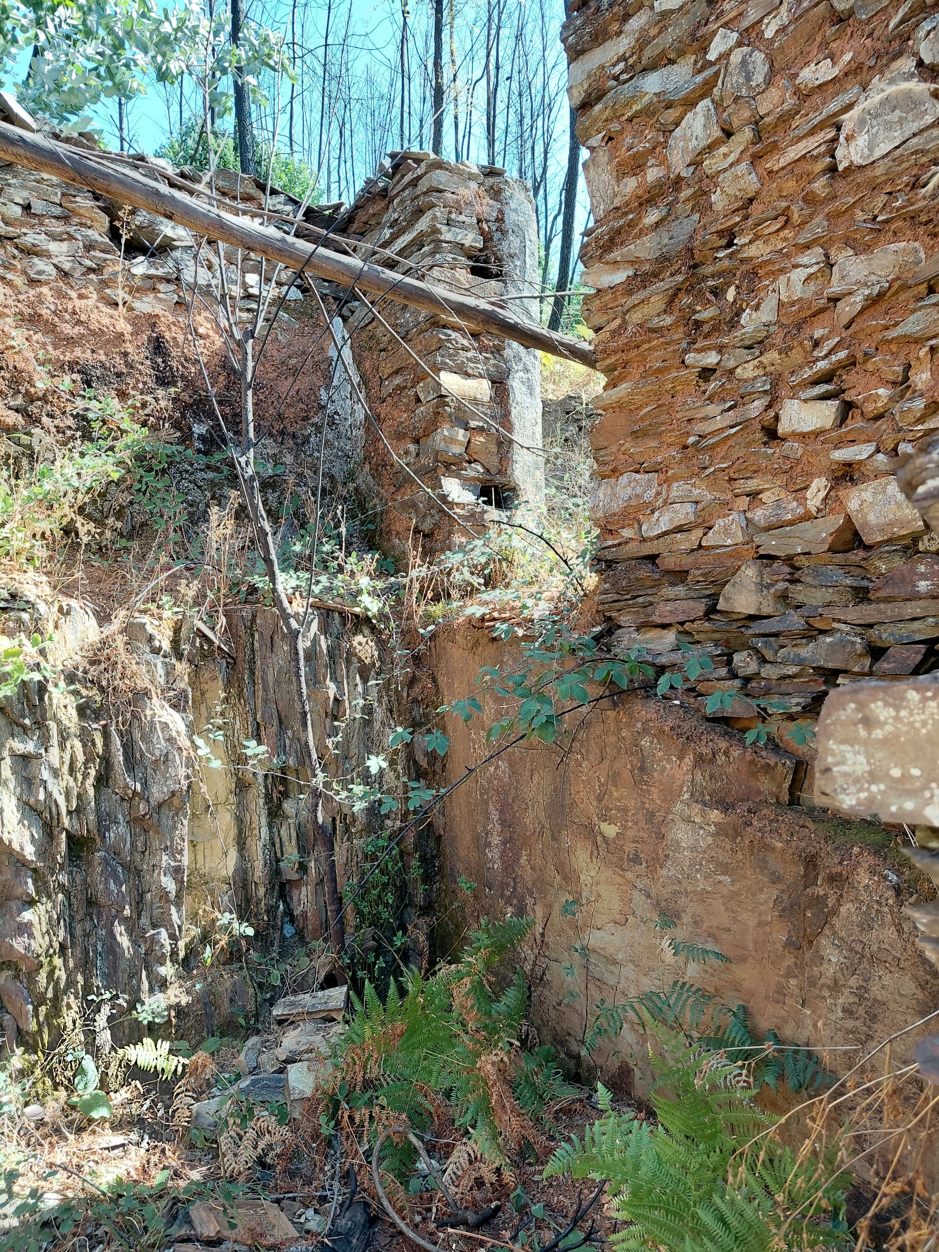 Casa3 - 20250828_151442