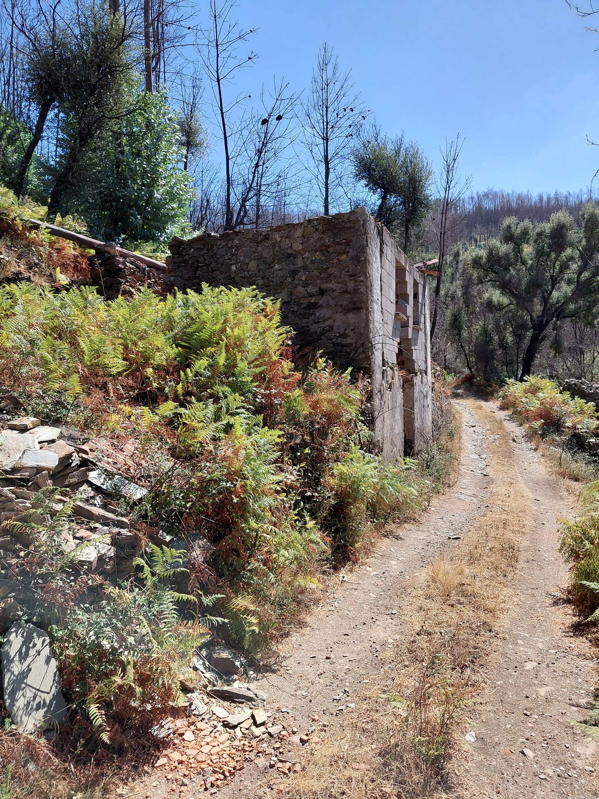 Casa3 - 20250828_151500