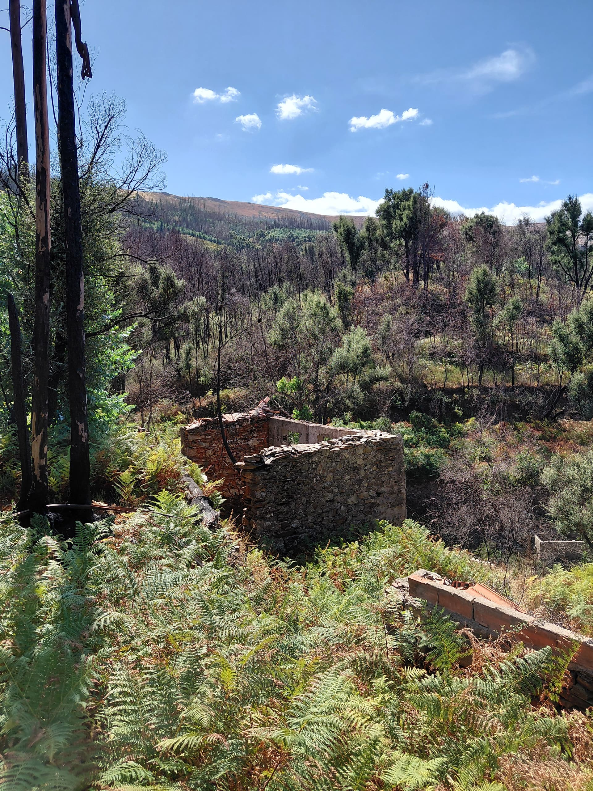 Casa3 - 20250828_151831