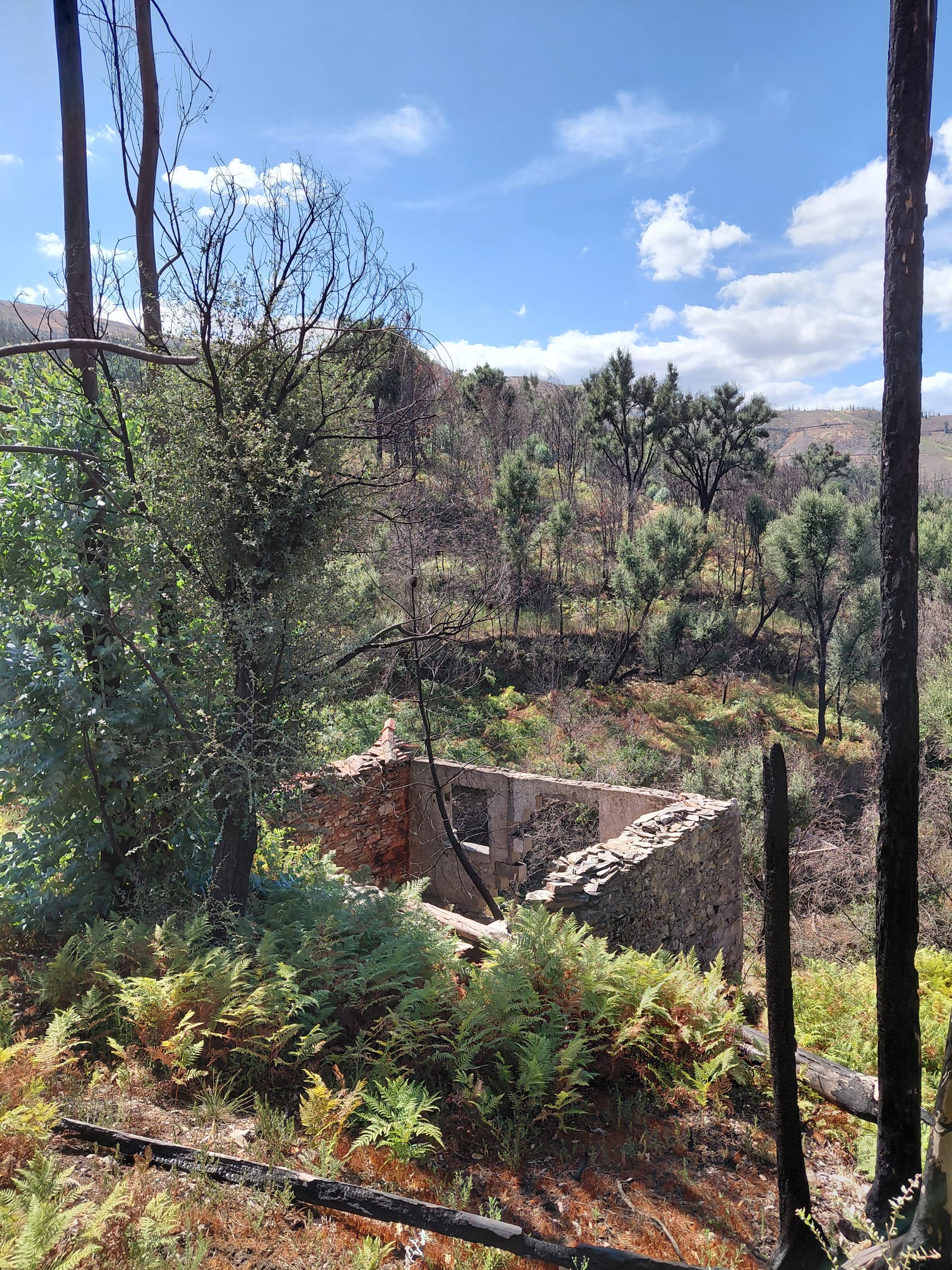 Casa3 - 20250828_151903