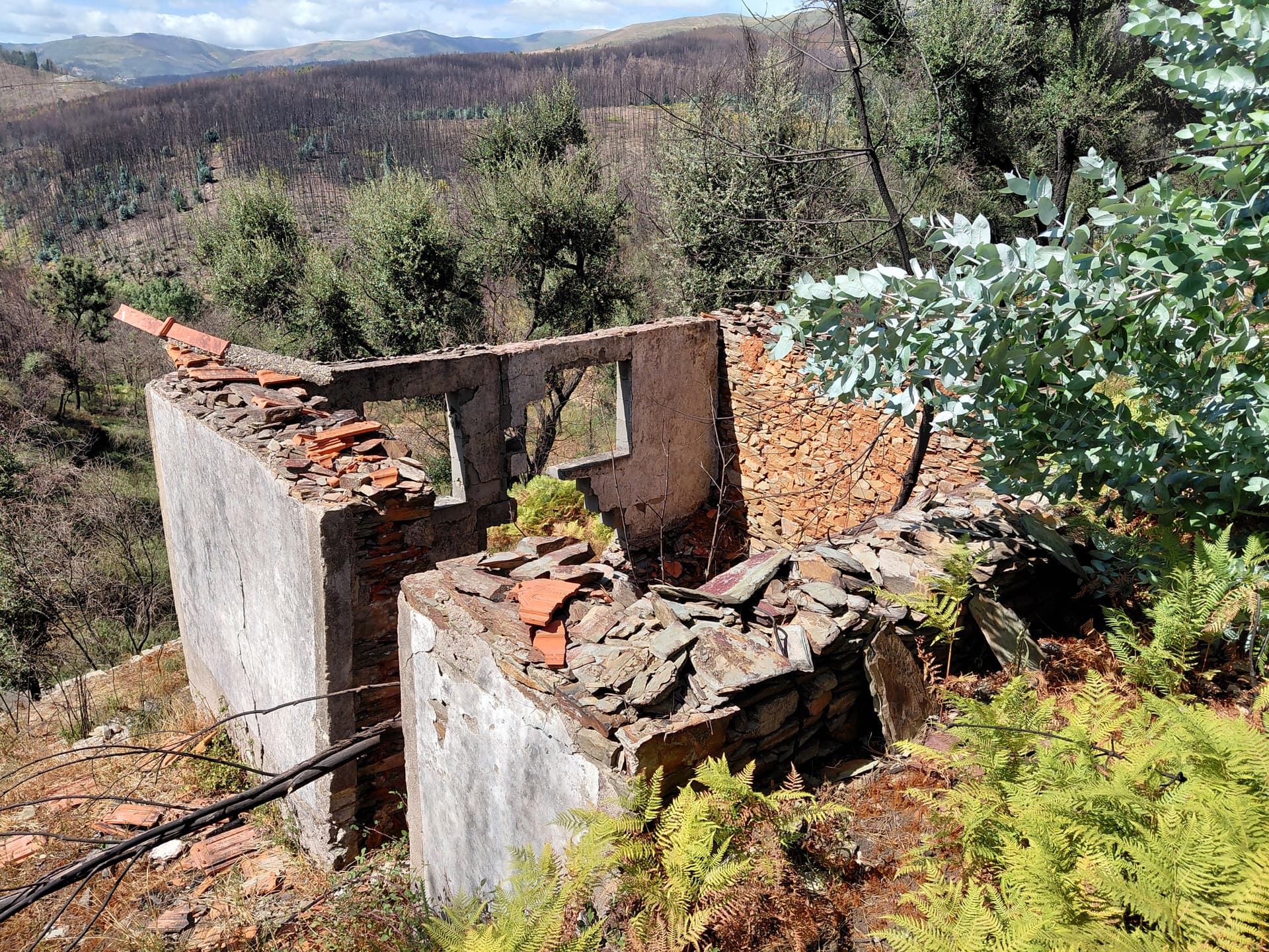 Casa3 - 20250828_152005