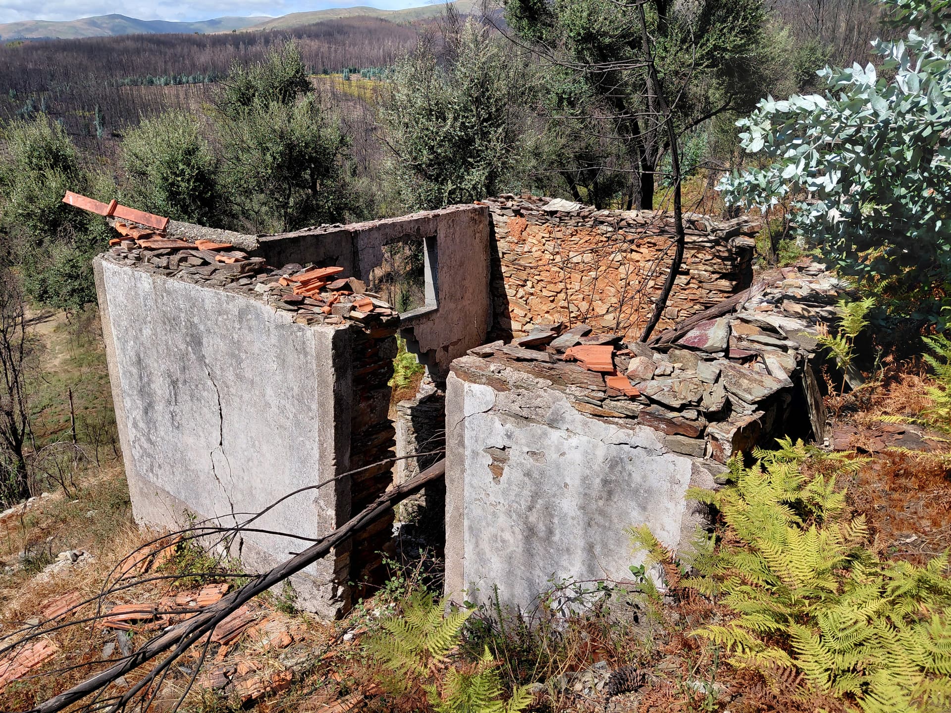 Casa3 - 20250828_152015