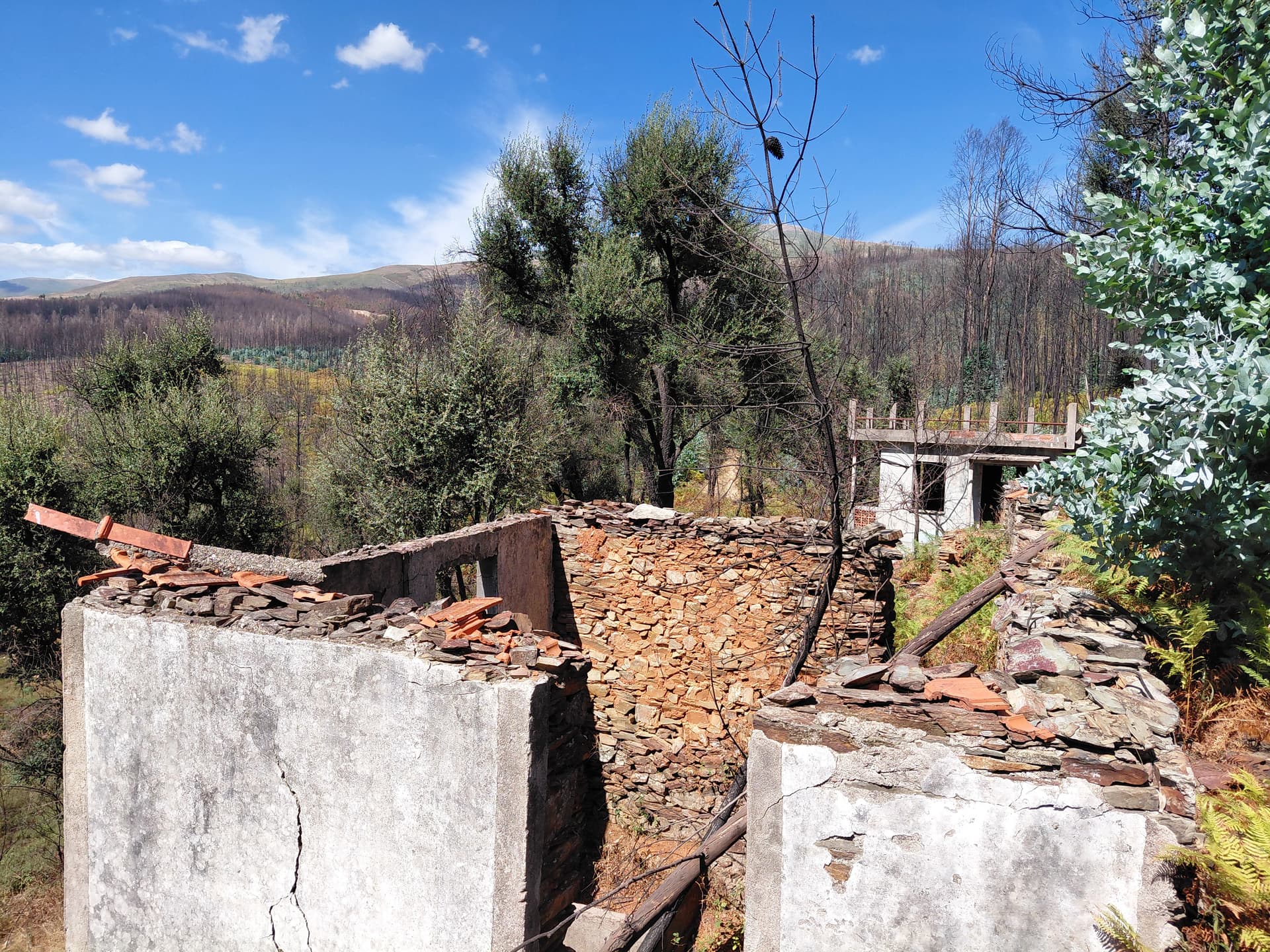 Casa3 - 20250828_152027