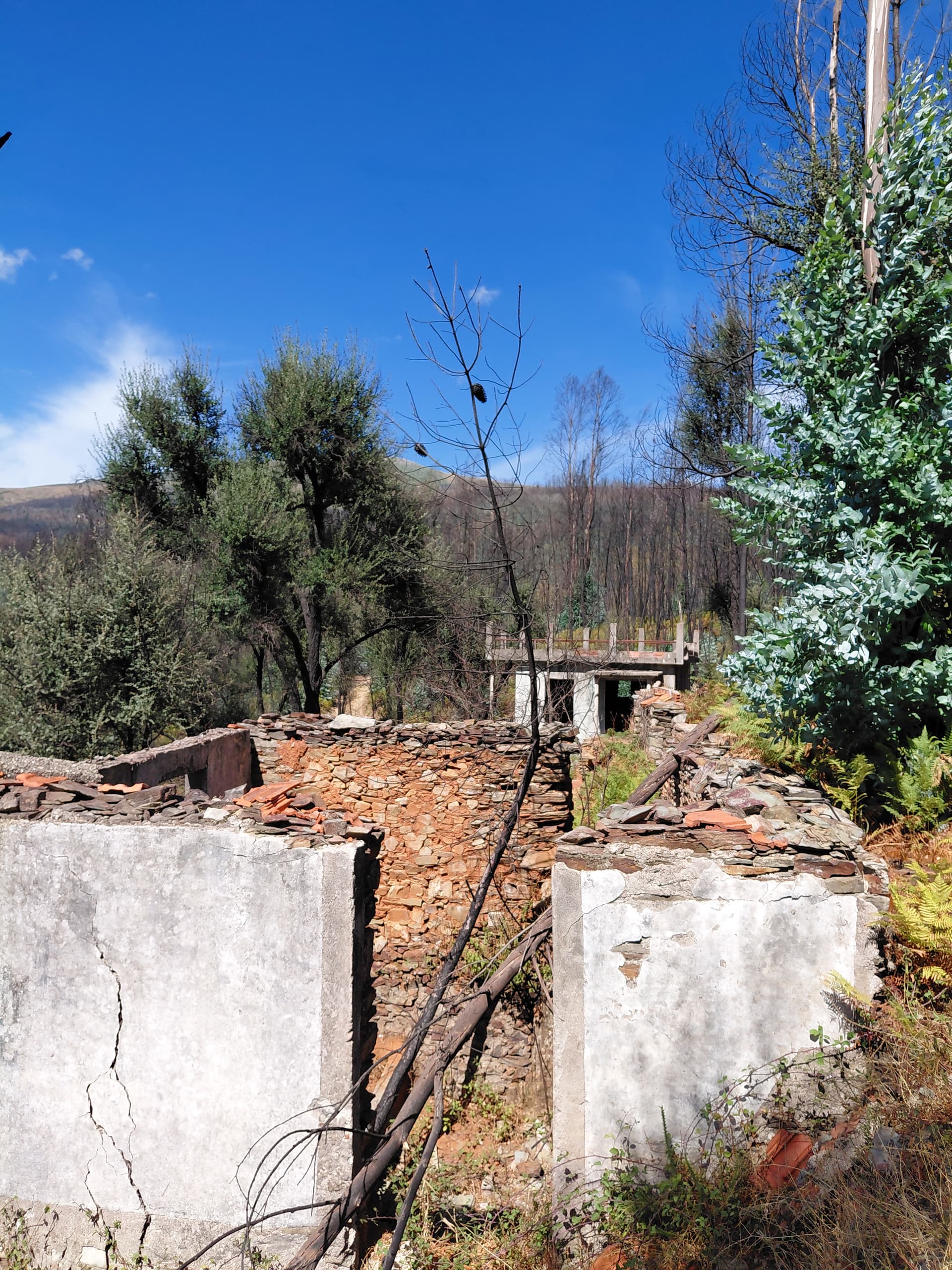 Casa3 - 20250828_152041