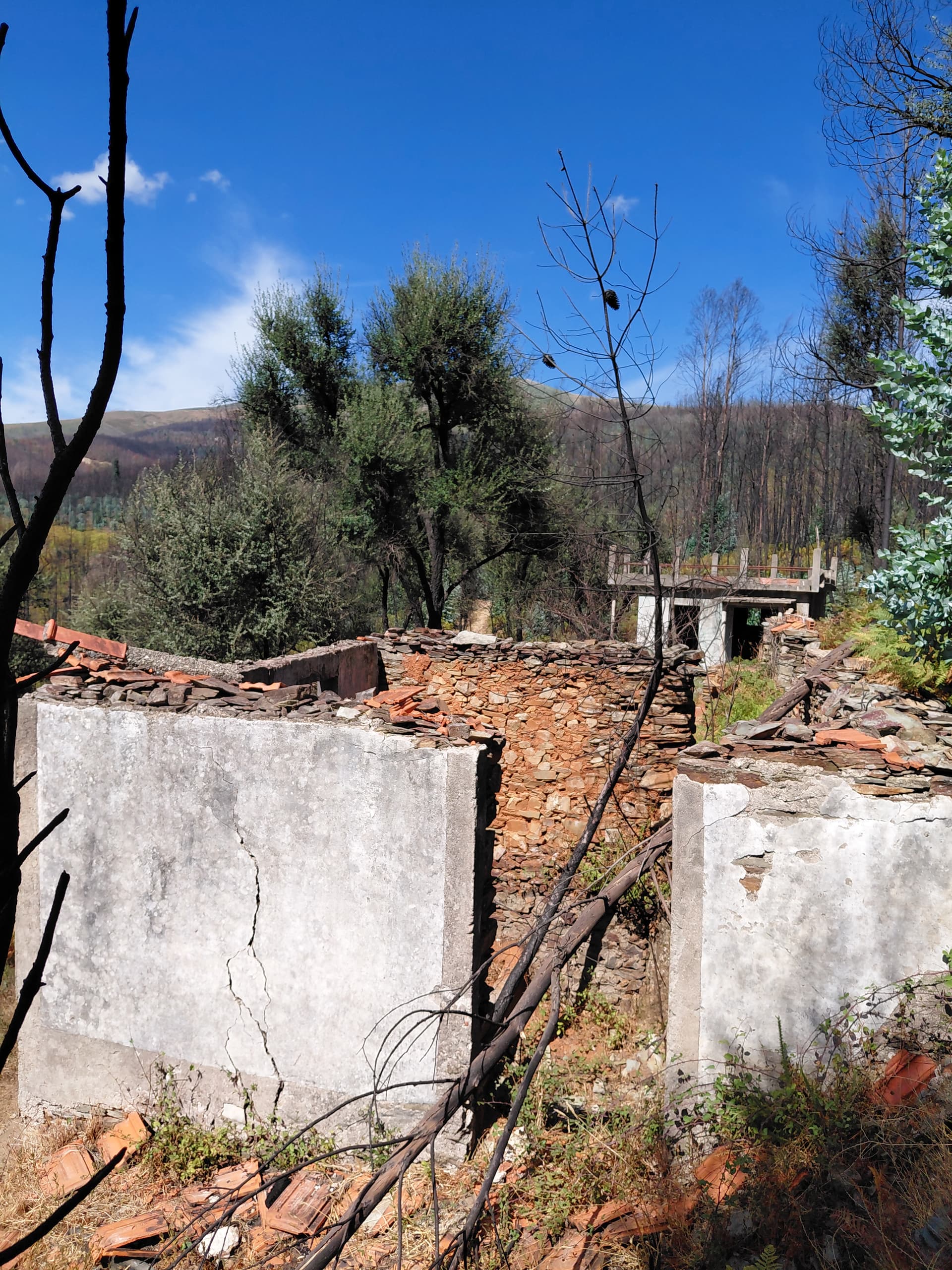 Casa3 - 20250828_152044