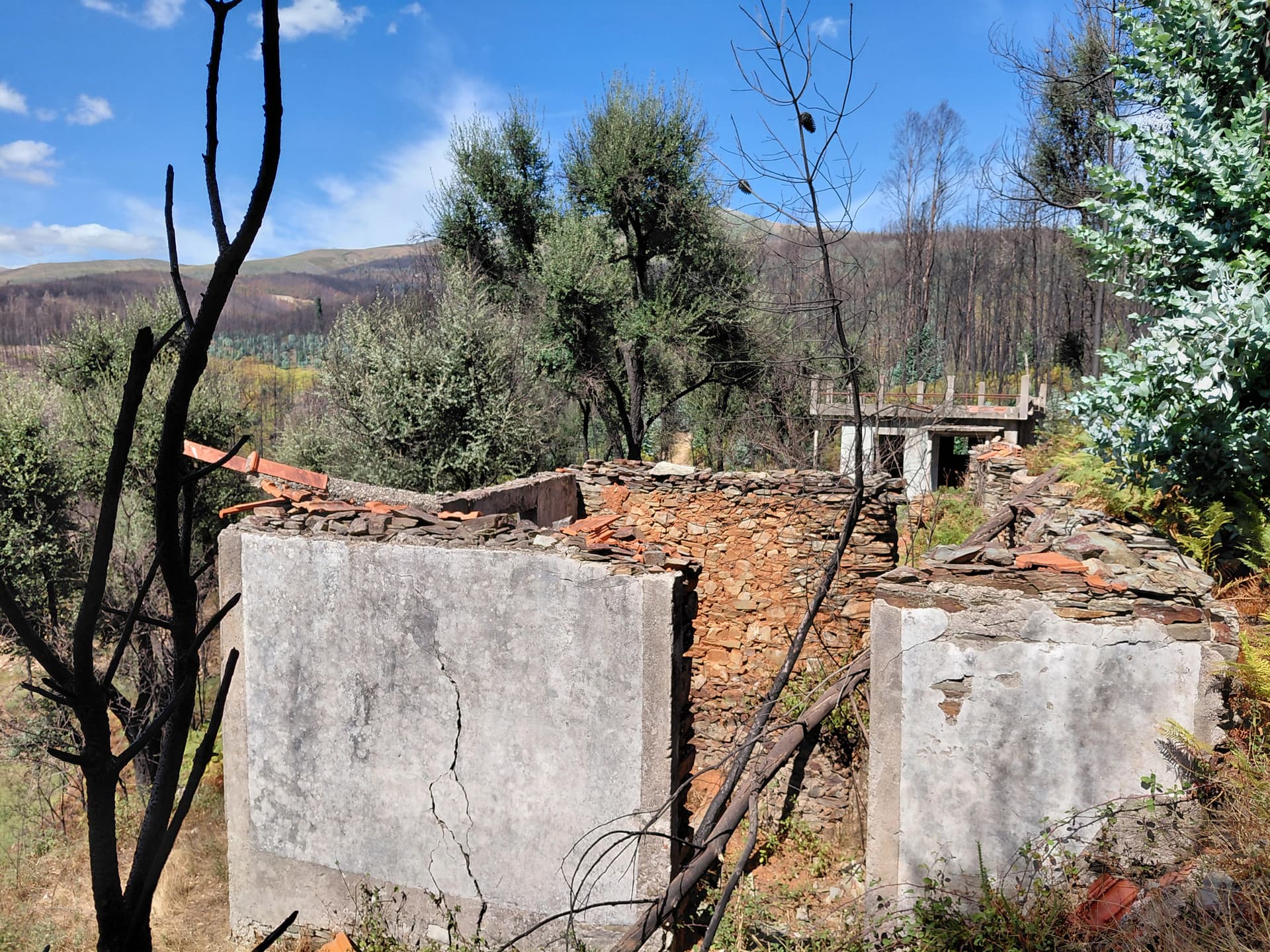 Casa3 - 20250828_152049