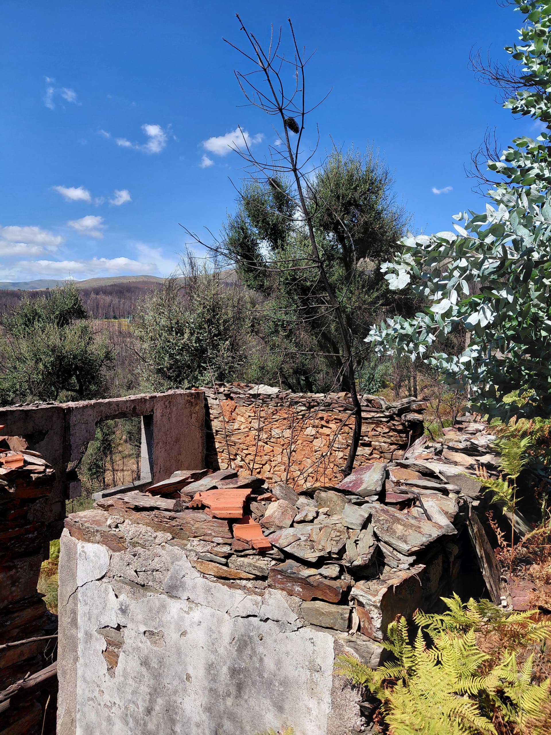 Casa3 - 20250828_152100