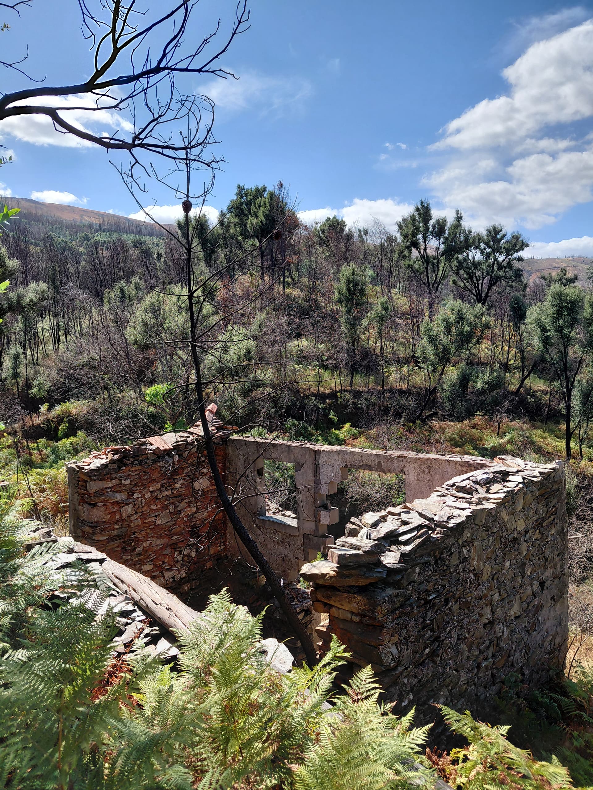 Casa3 - 20250828_152142