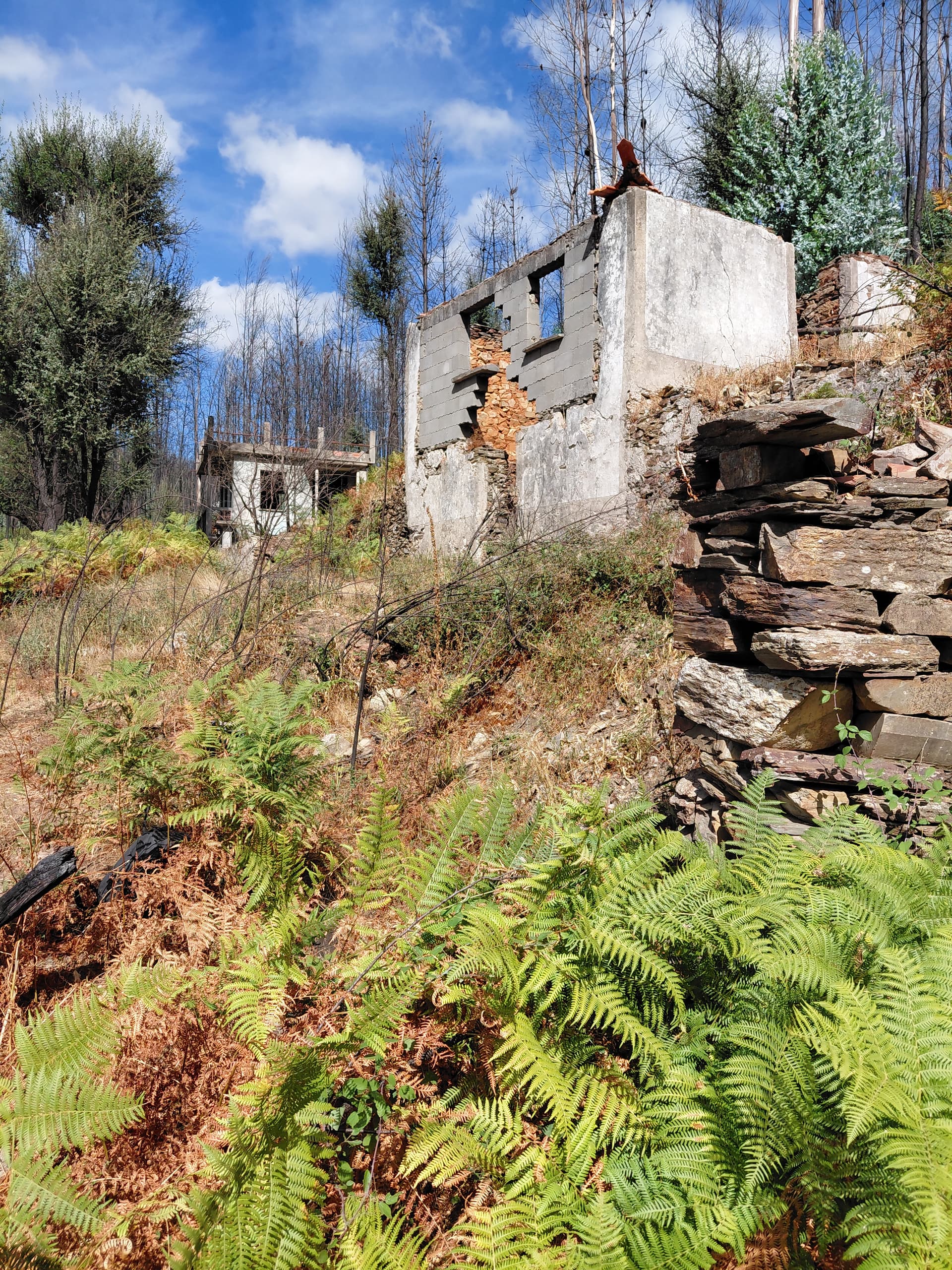 Casa3 - 20250828_161041