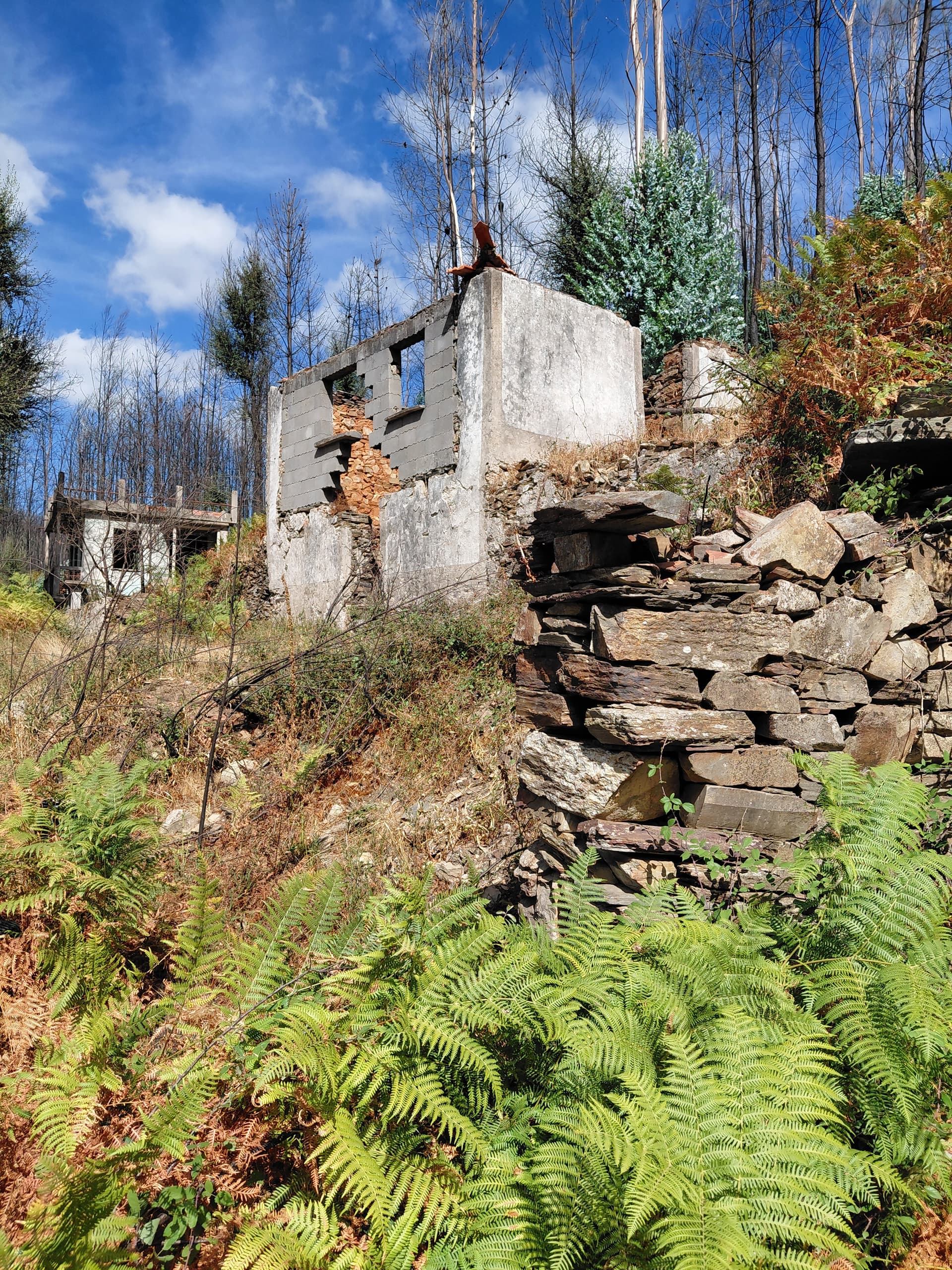 Casa3 - 20250828_161044