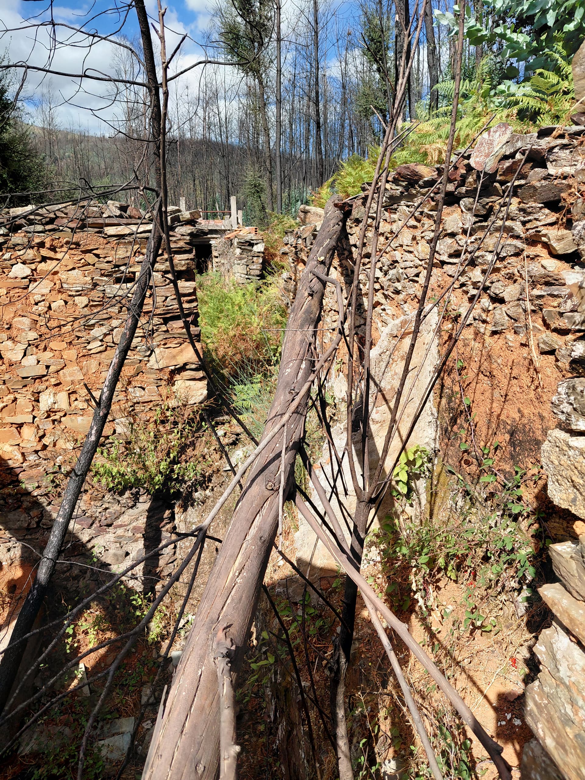 Casa3 - 20250828_163514