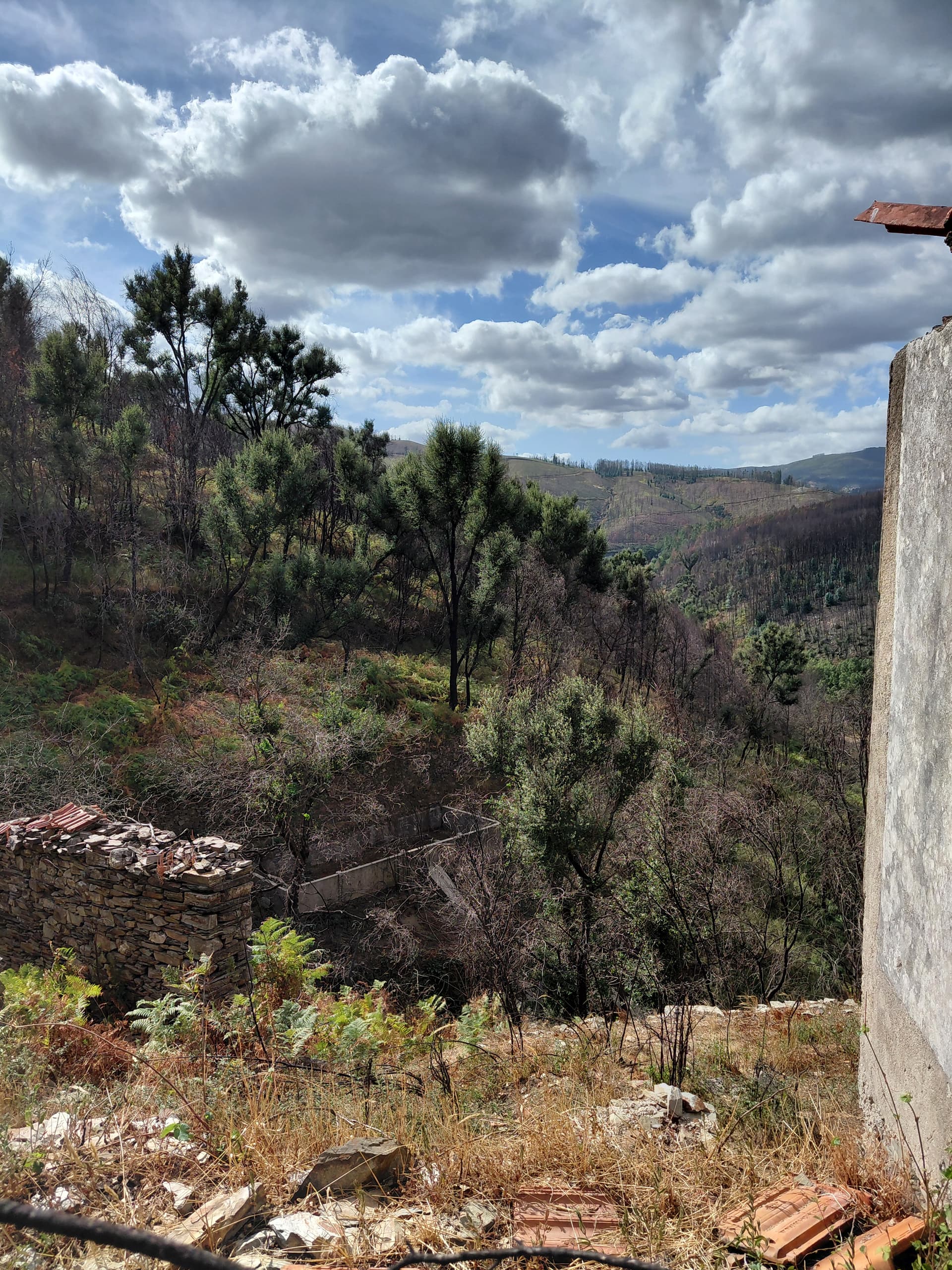 Casa3 - 20250828_163520