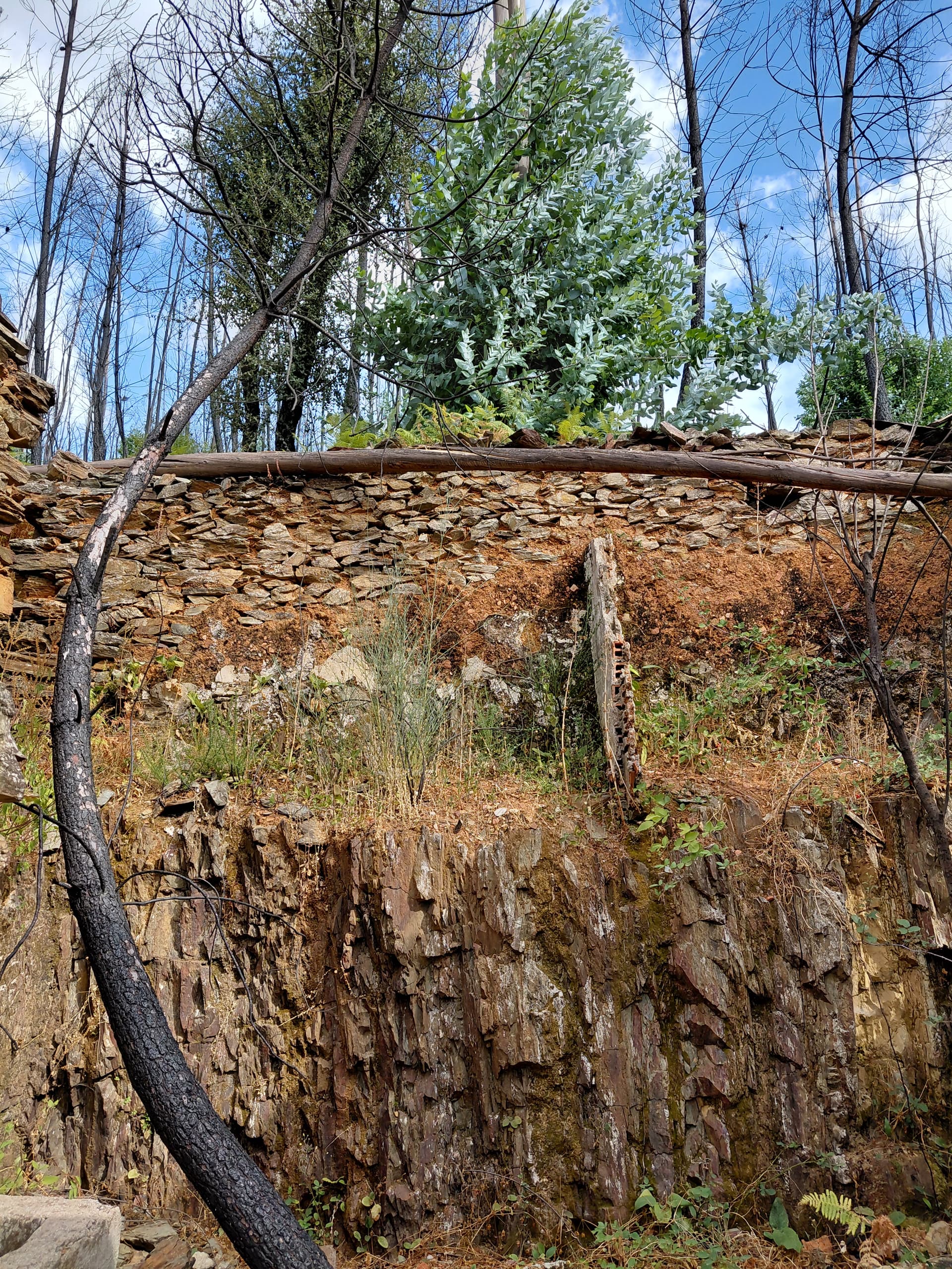 Casa3 - 20250828_163720