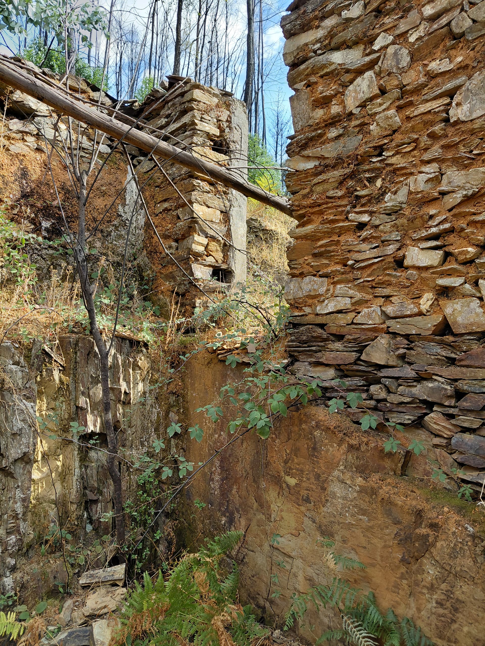 Casa3 - 20250828_163728