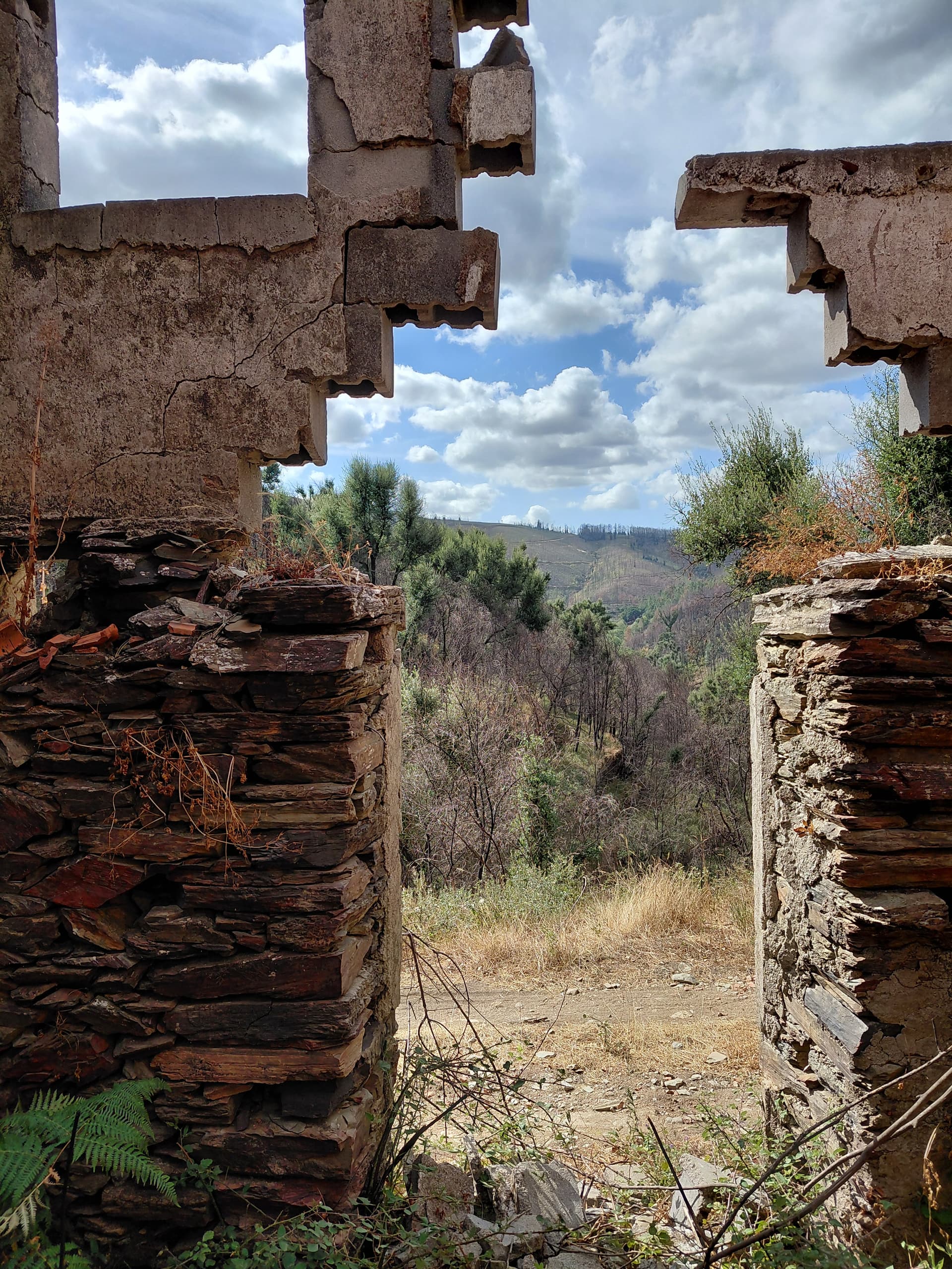 Casa3 - 20250828_163744